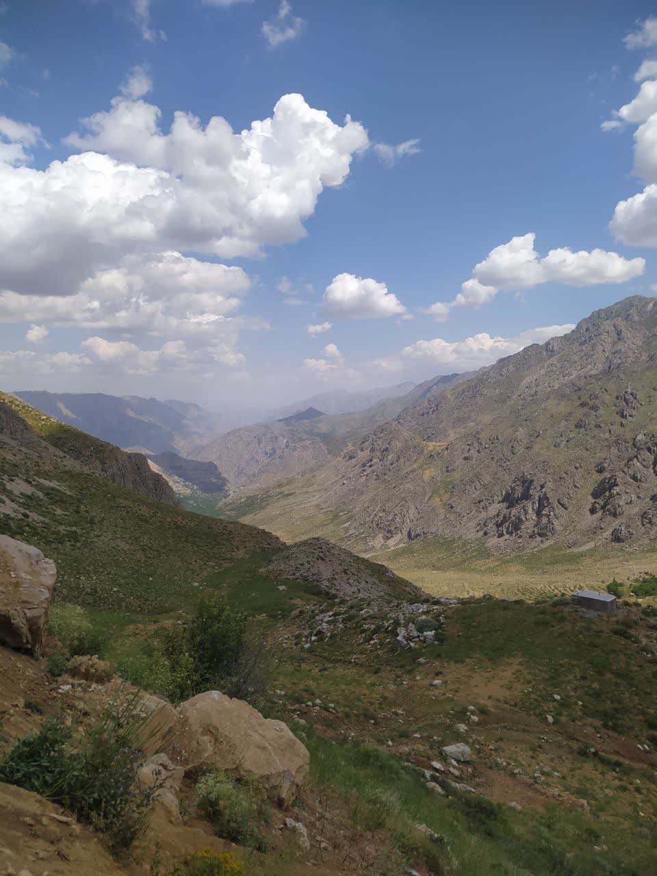 راضیه موسوی ریزی