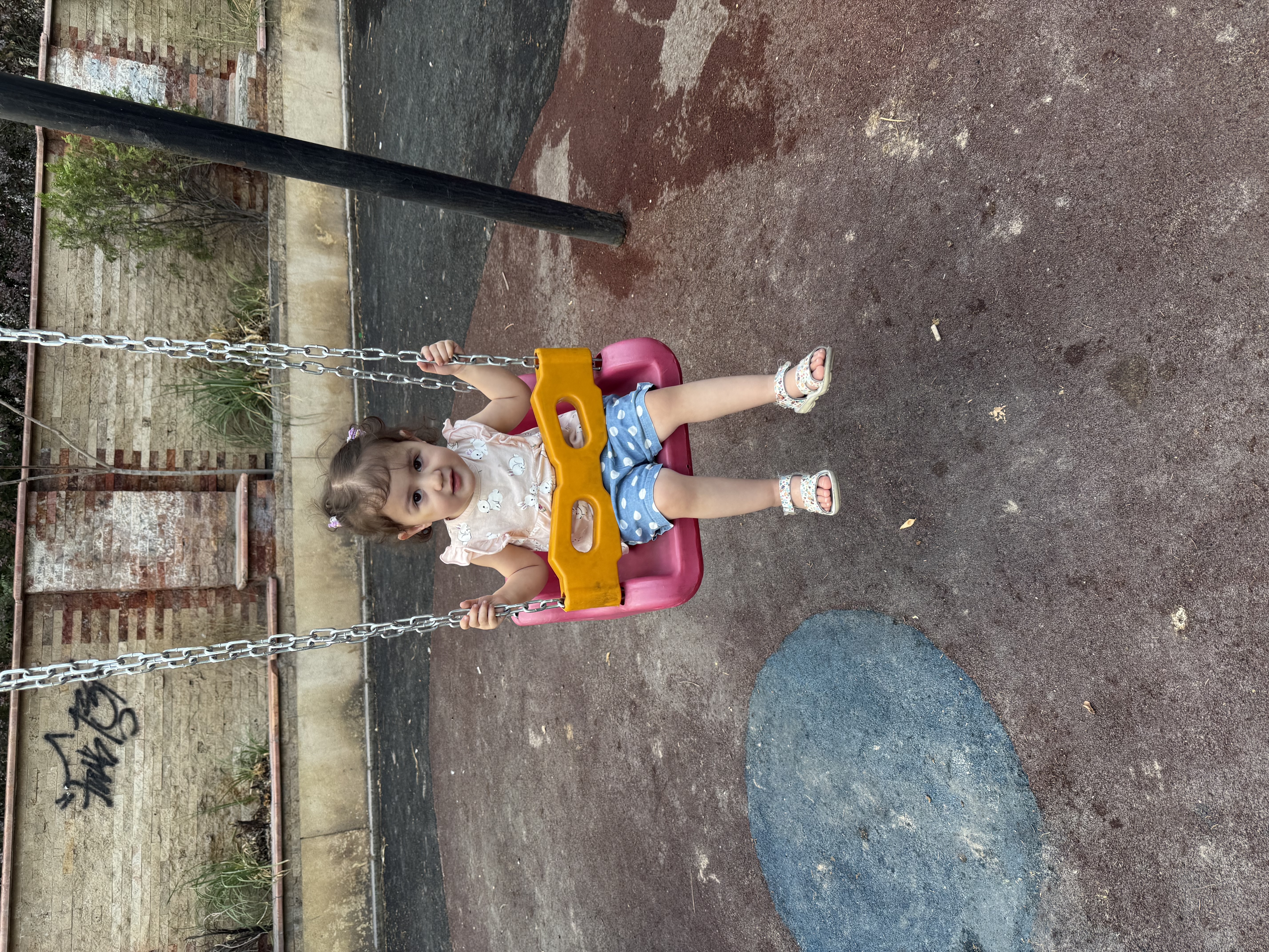 وانیا رشیدی
