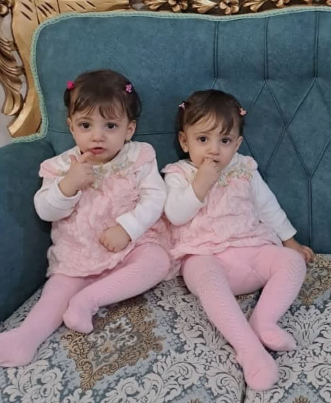 لاوینا محمدی