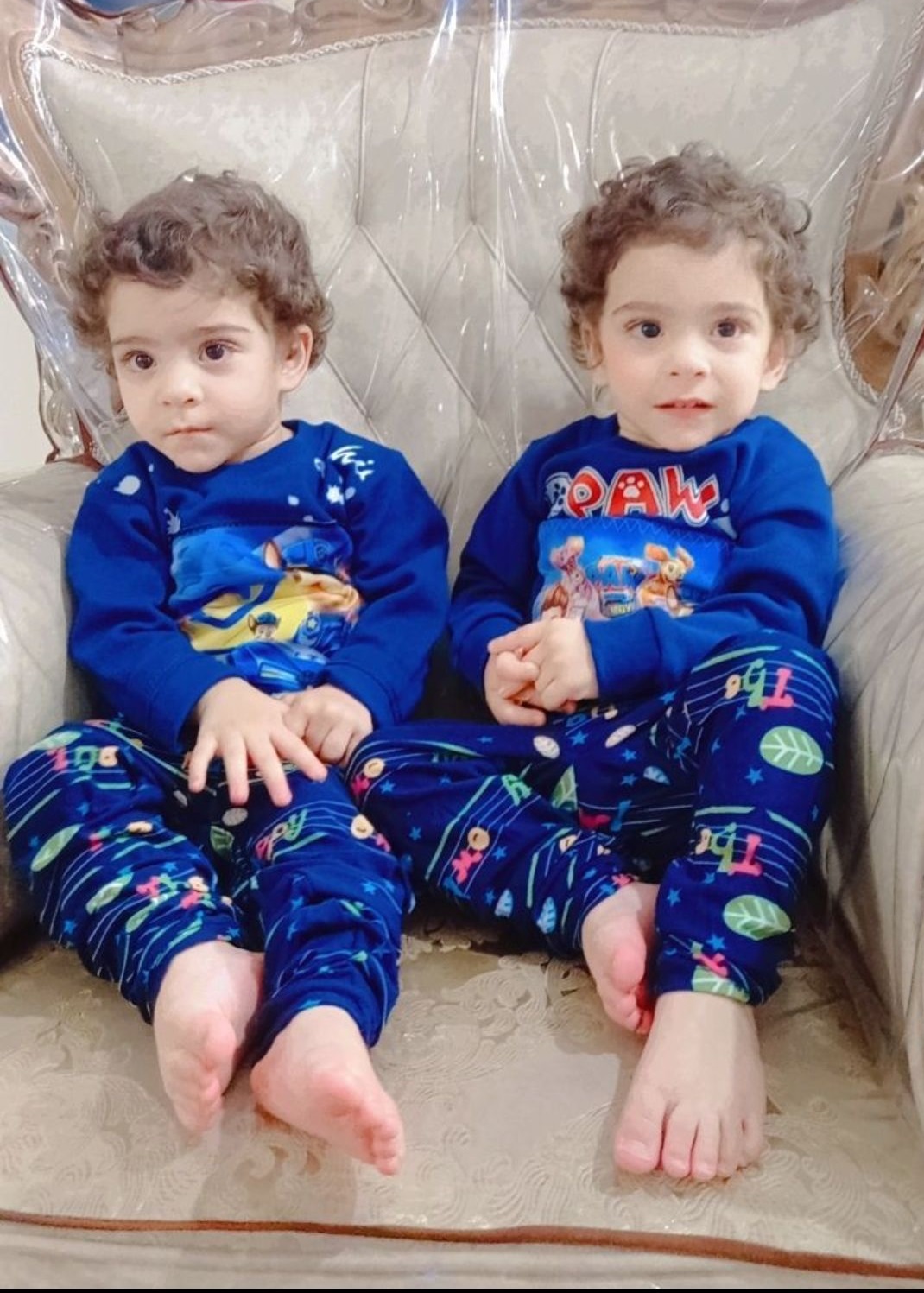 شجاع فلاورجانی