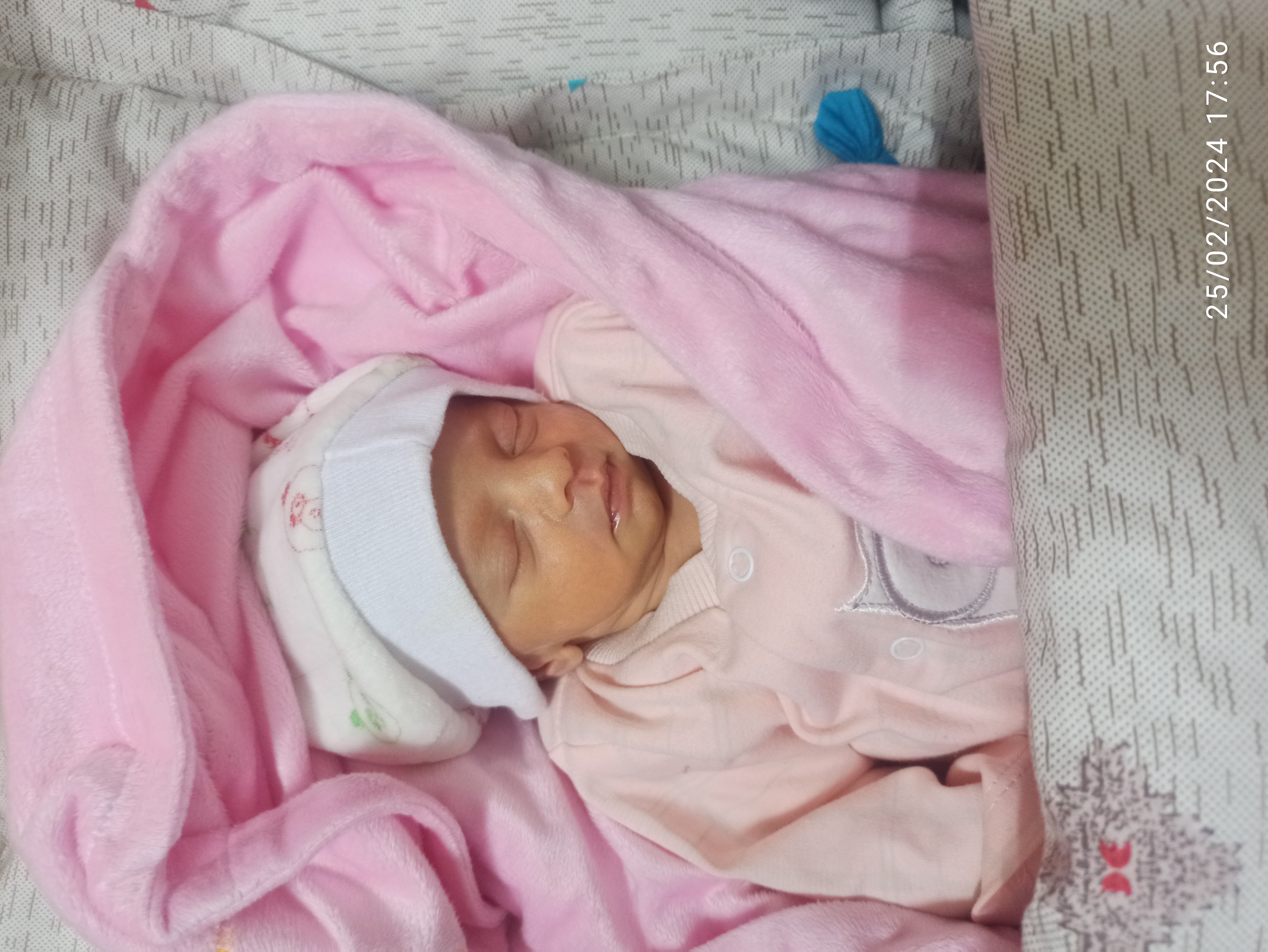 تینا سلطانی