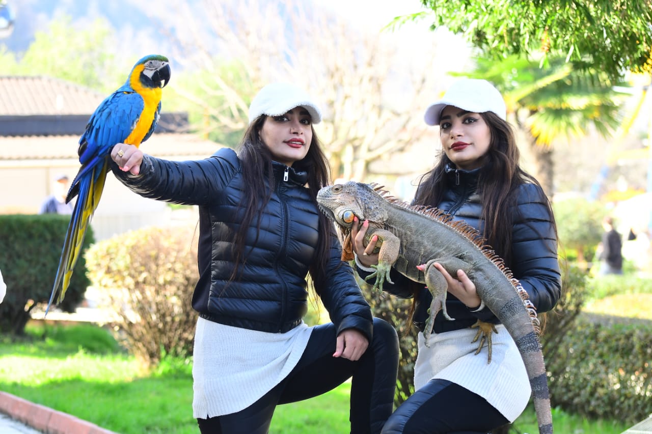 راضیه عابدی کیچی