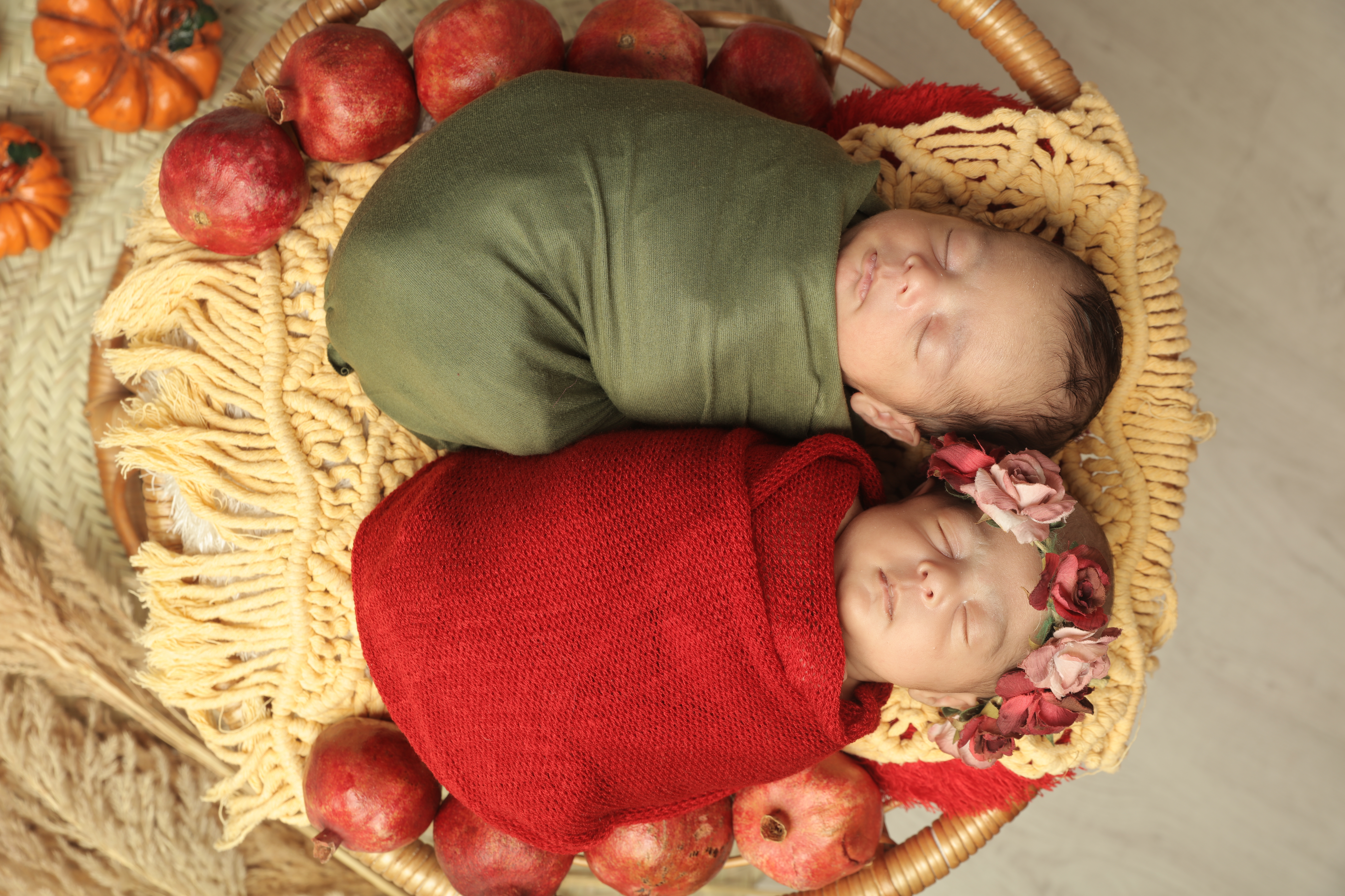 همدم نخبه زعیم