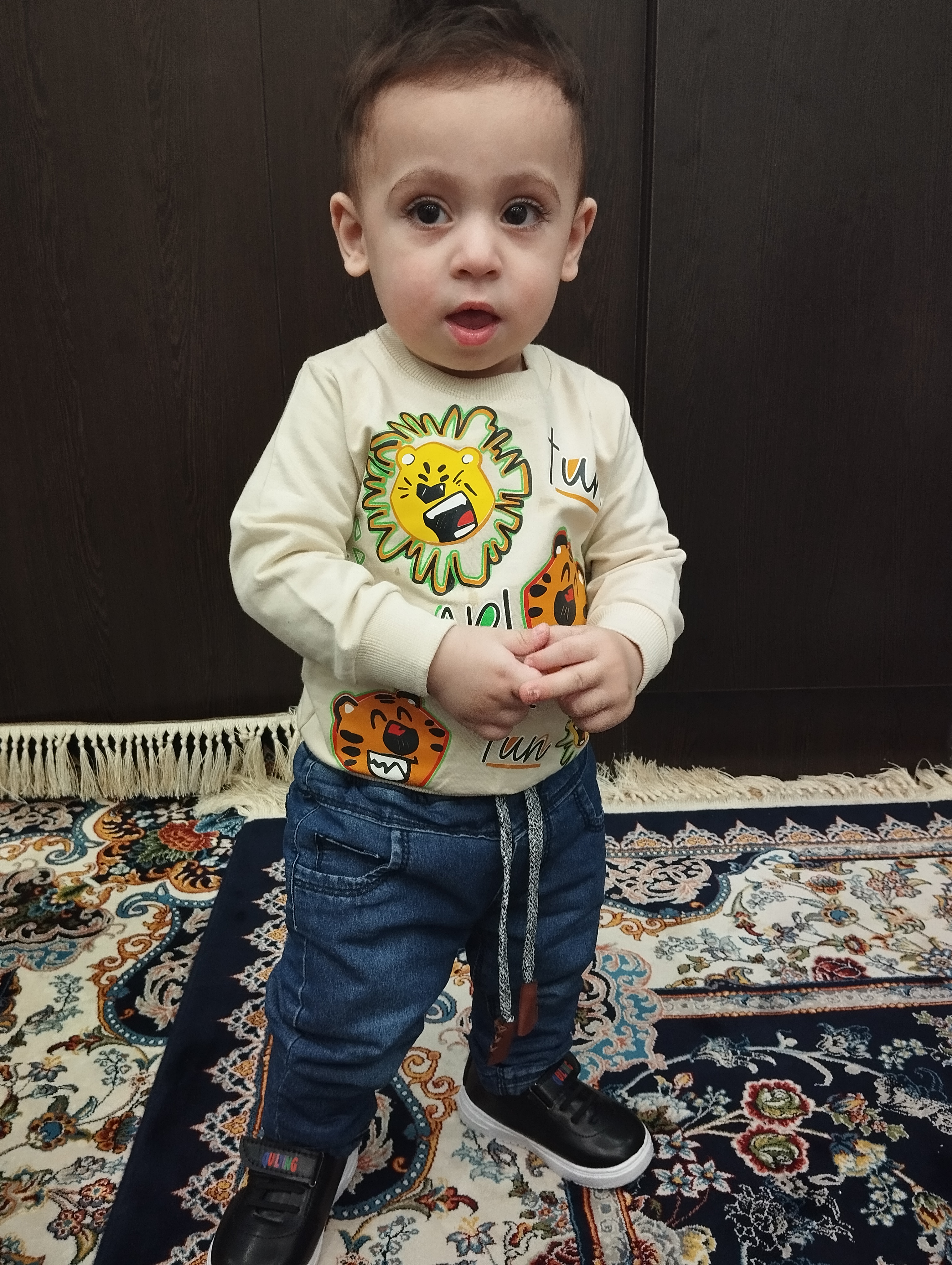 امیر رضا  سعادتی پایدار 