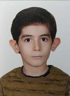 آرتین زمانی