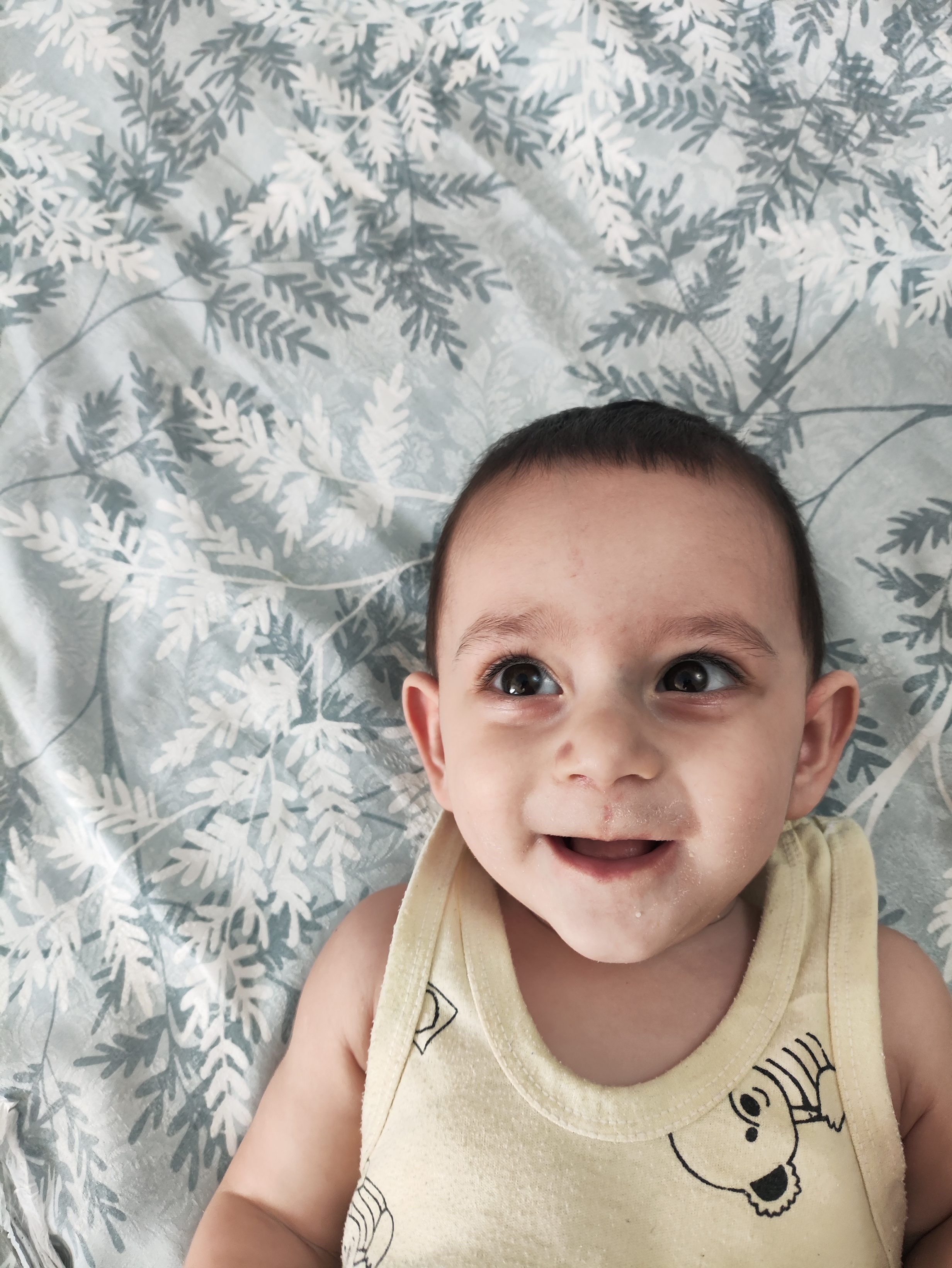 شاهان مهدیی