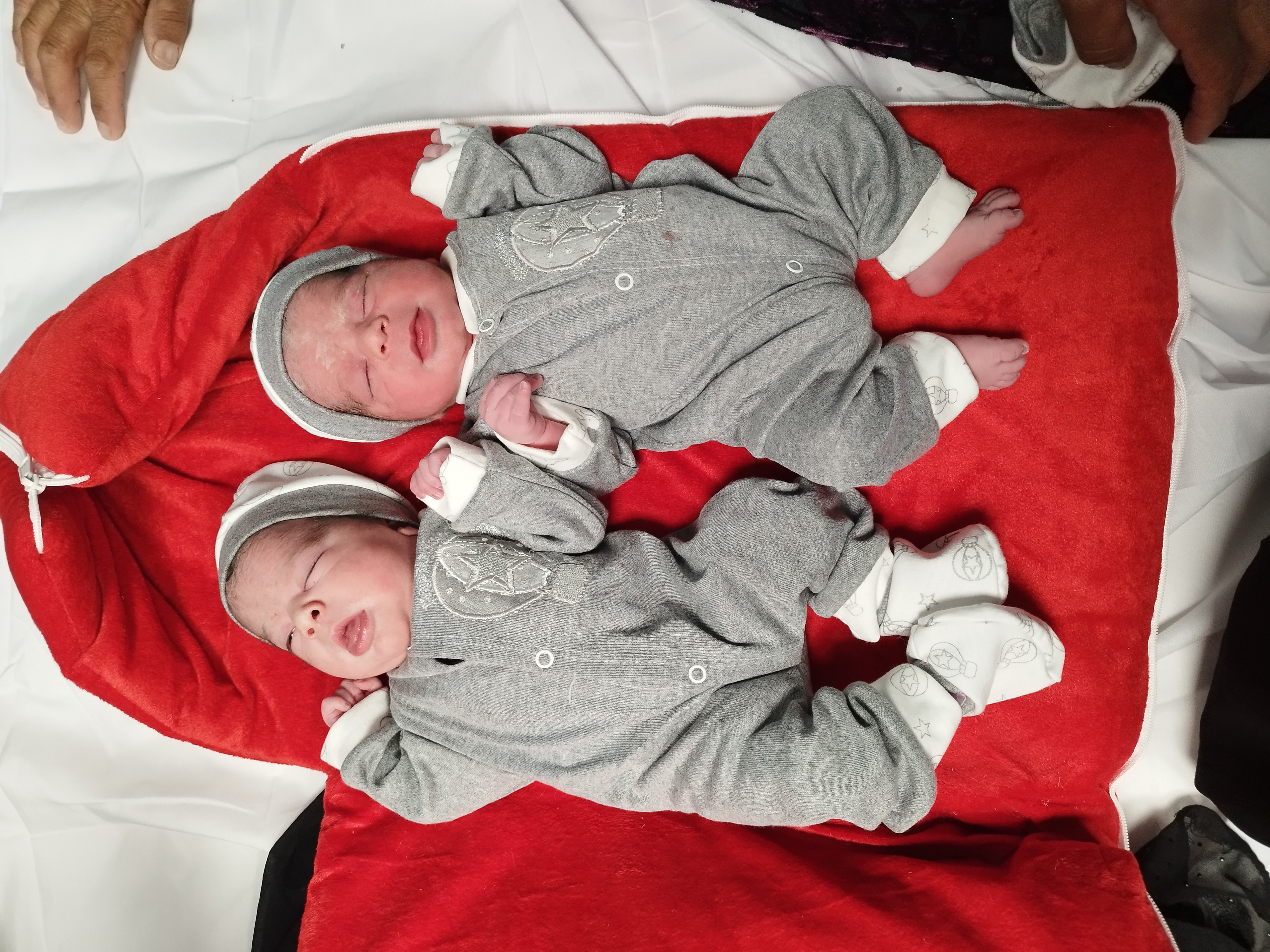 طناز رحمت‌پناه