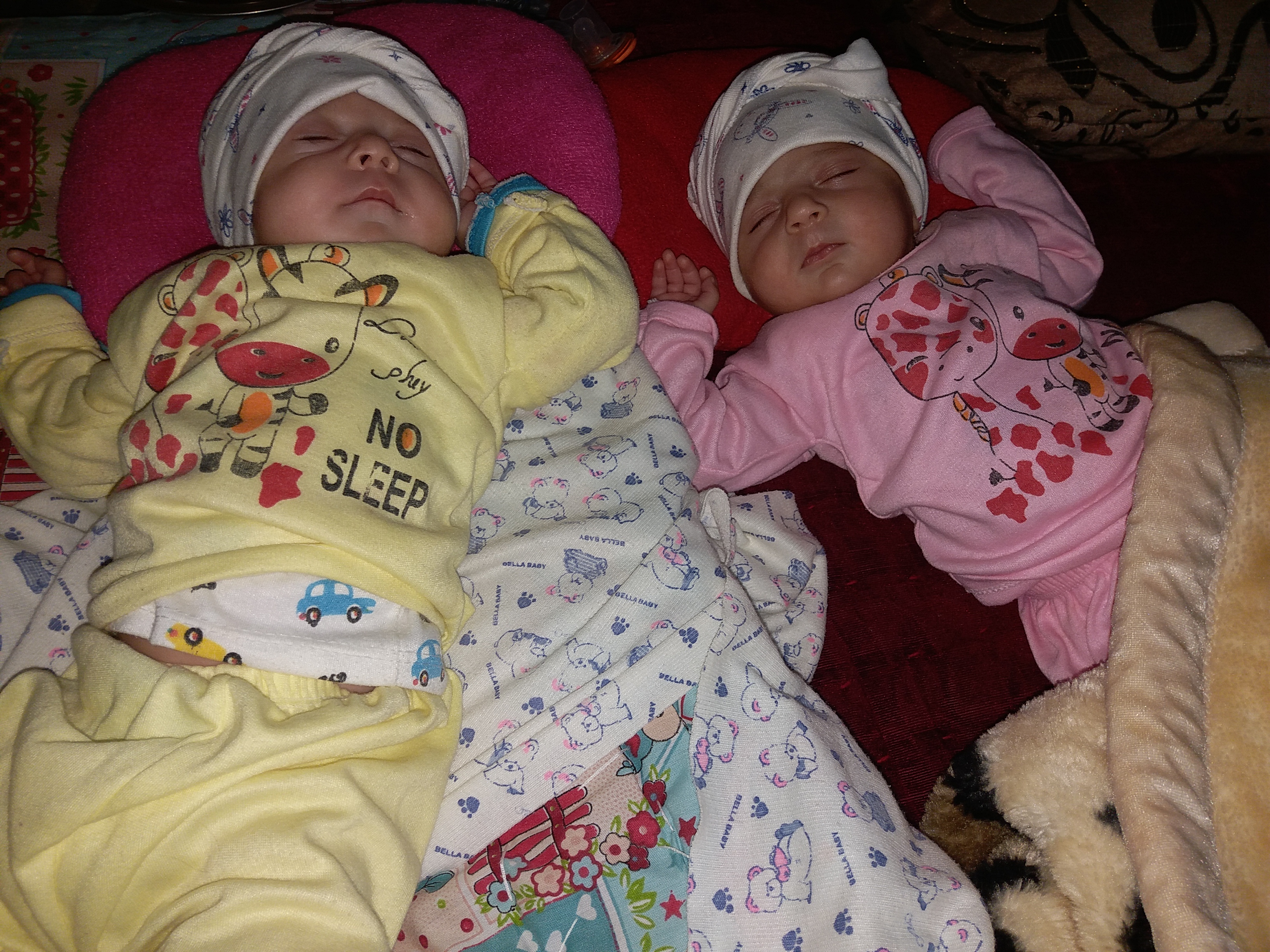 پایابیده براهویی