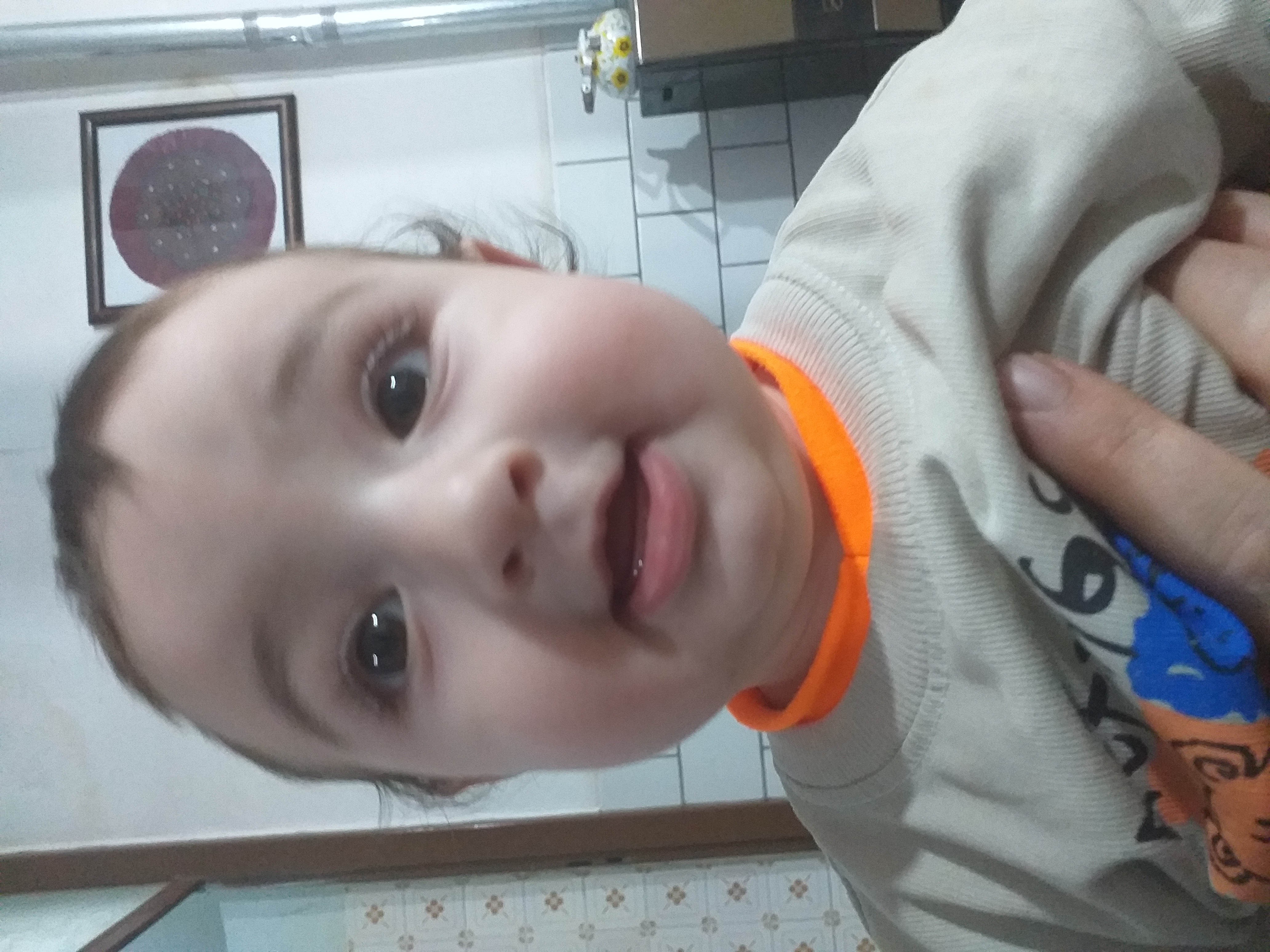 محمدی شاهرخ ابادی