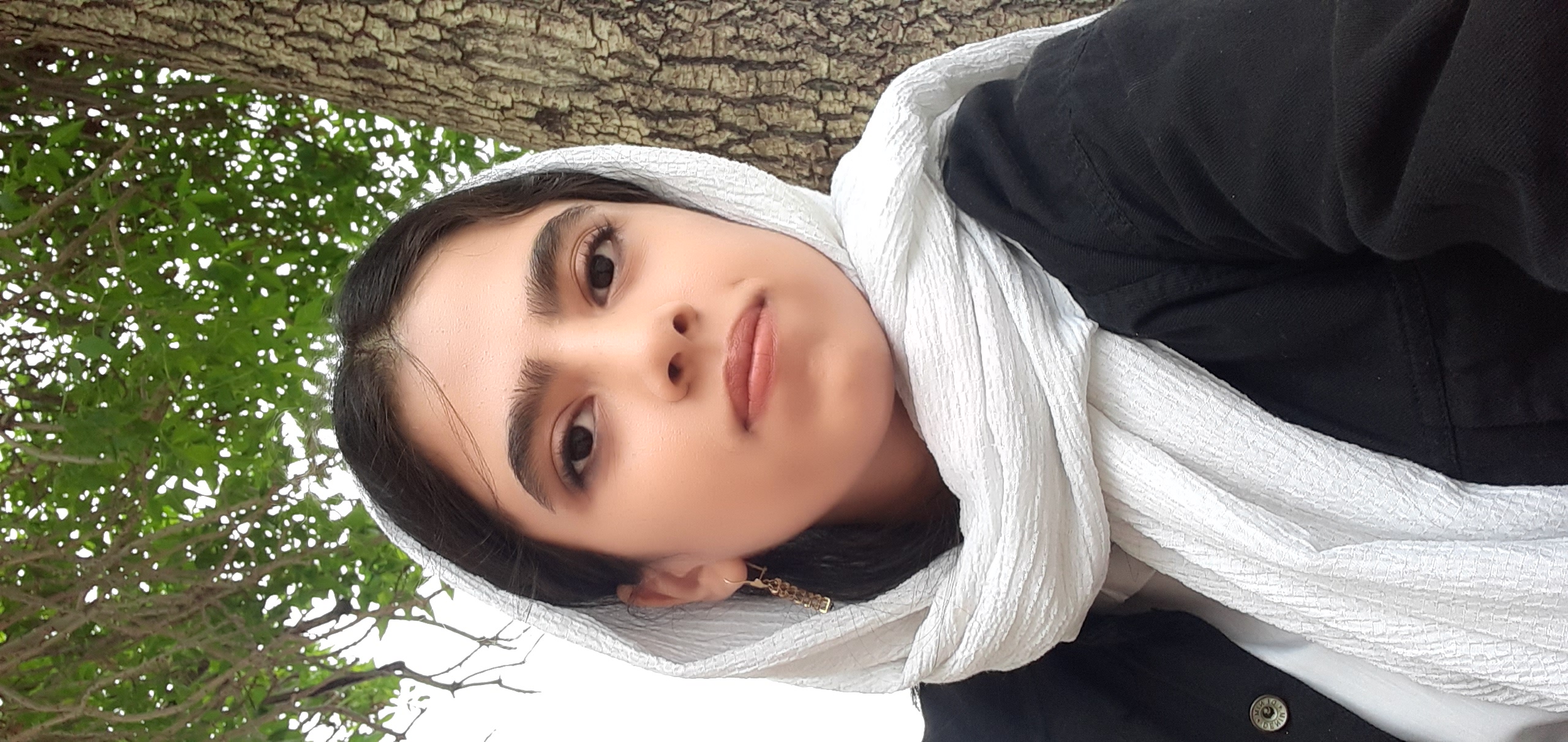 پریسا گیلانی