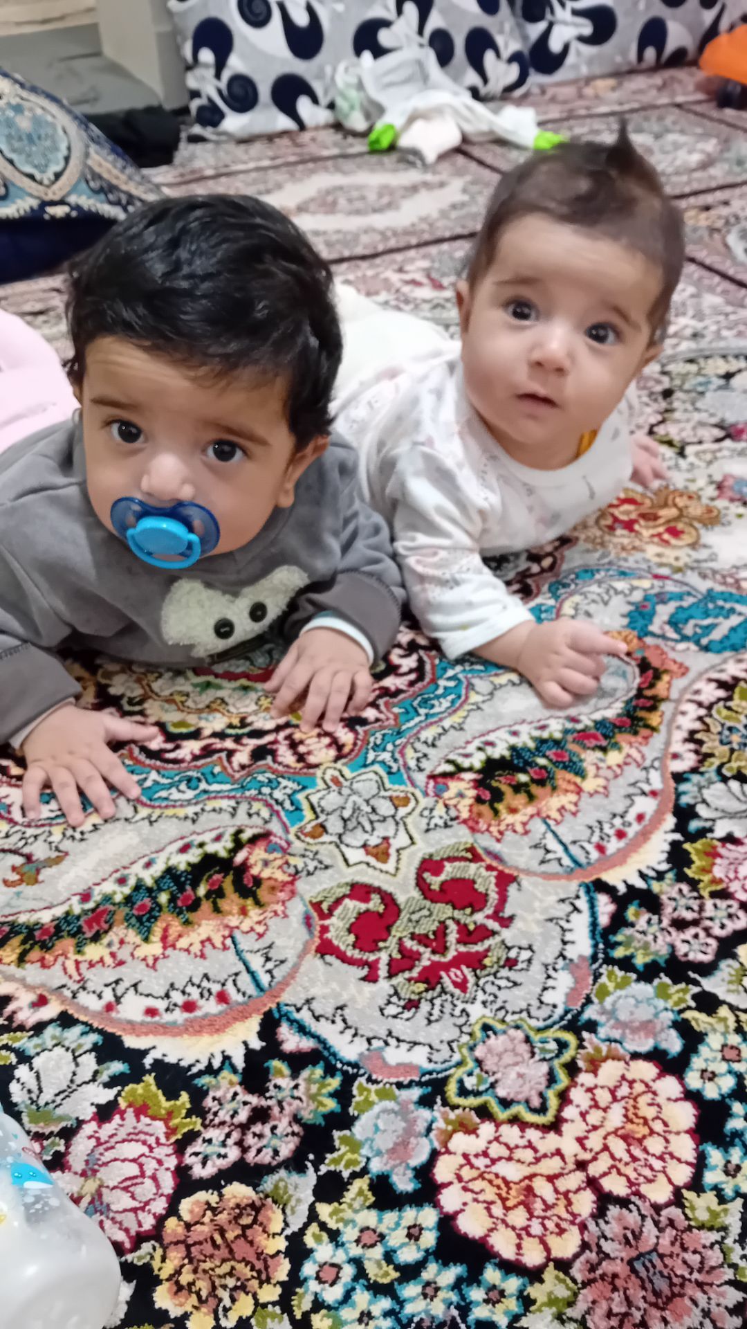 آینور احمدی