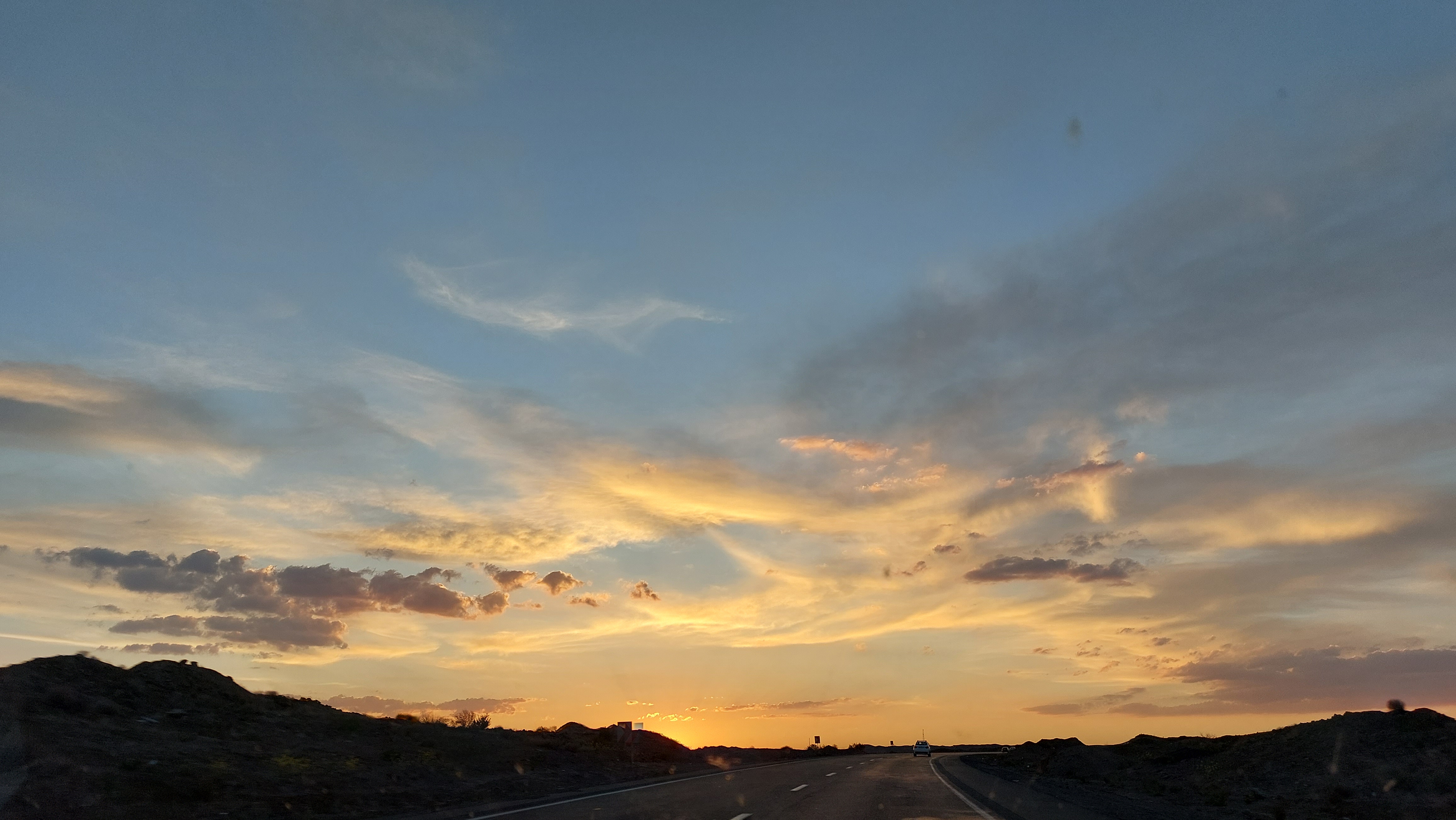 محمدکیاوش علا