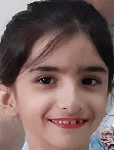 نیکا علی بیگی