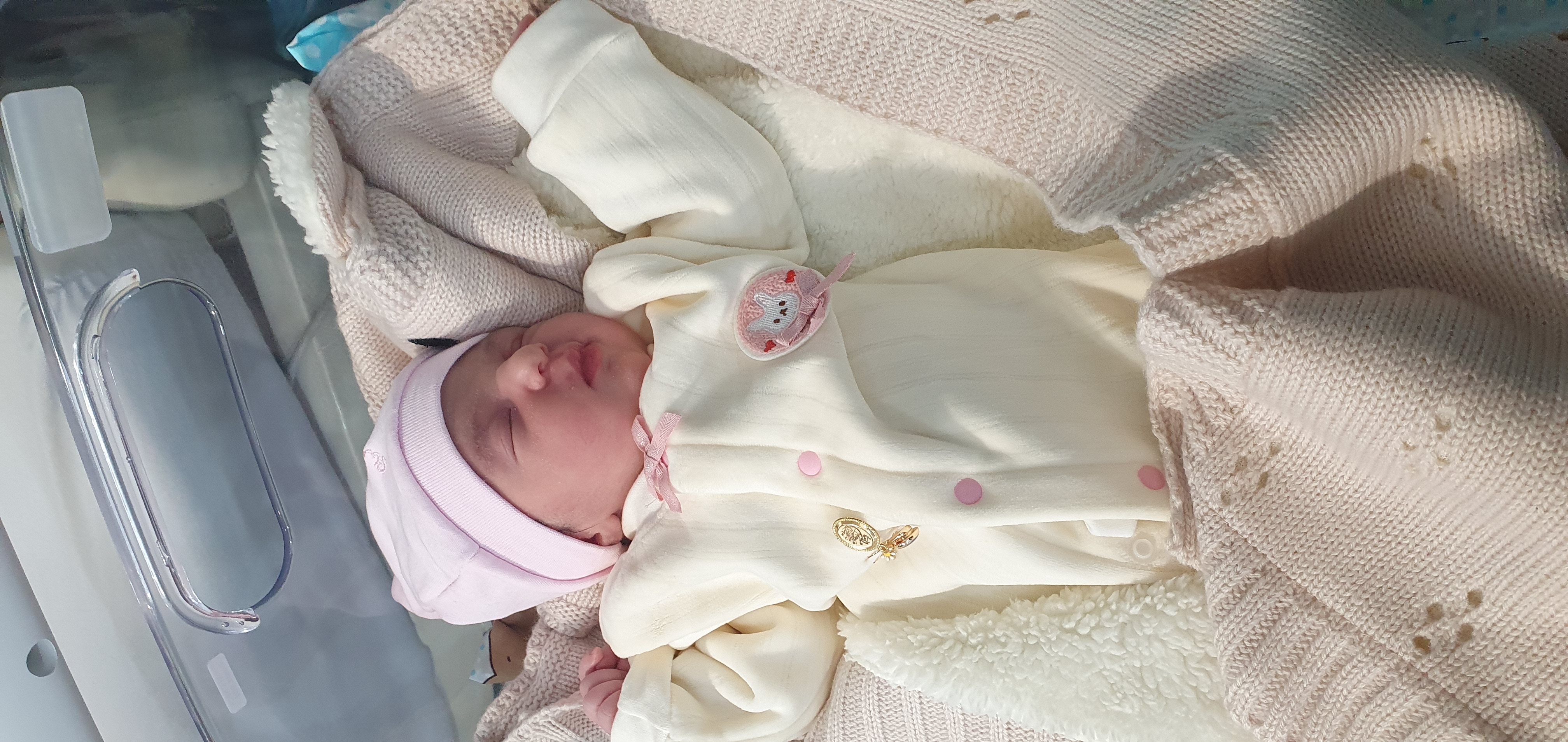 مهدخت بختیاری