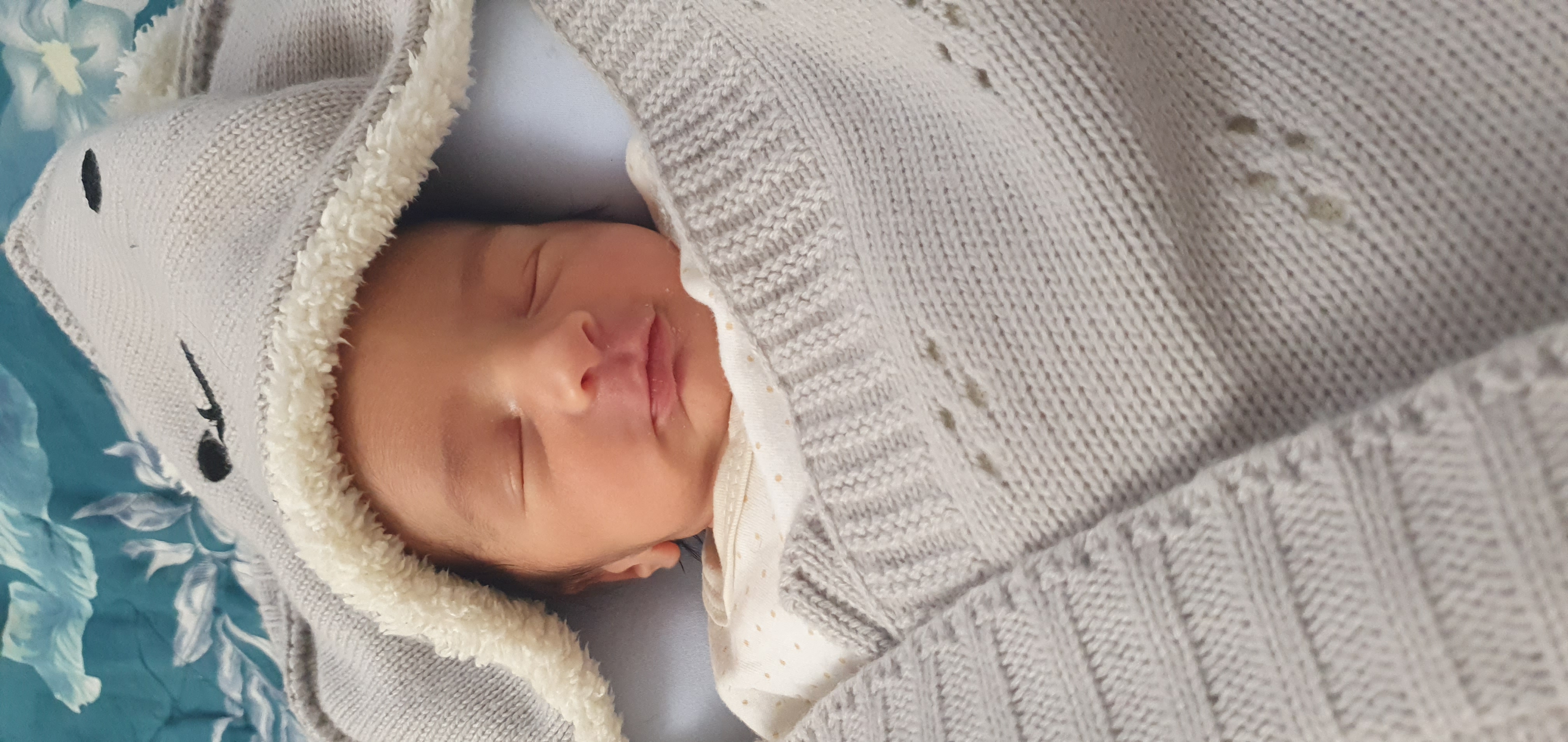 مهبد بختیاری