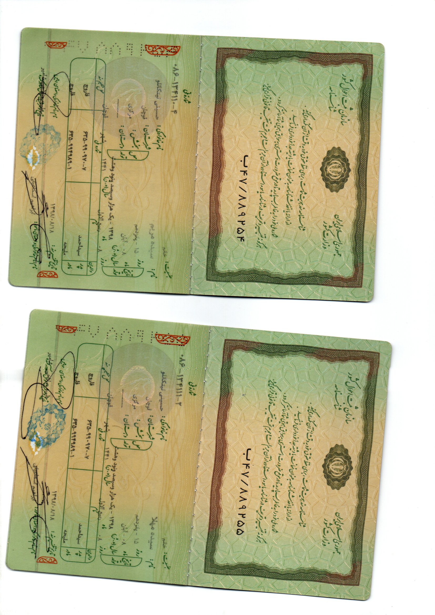 حسینی تیتکانلو