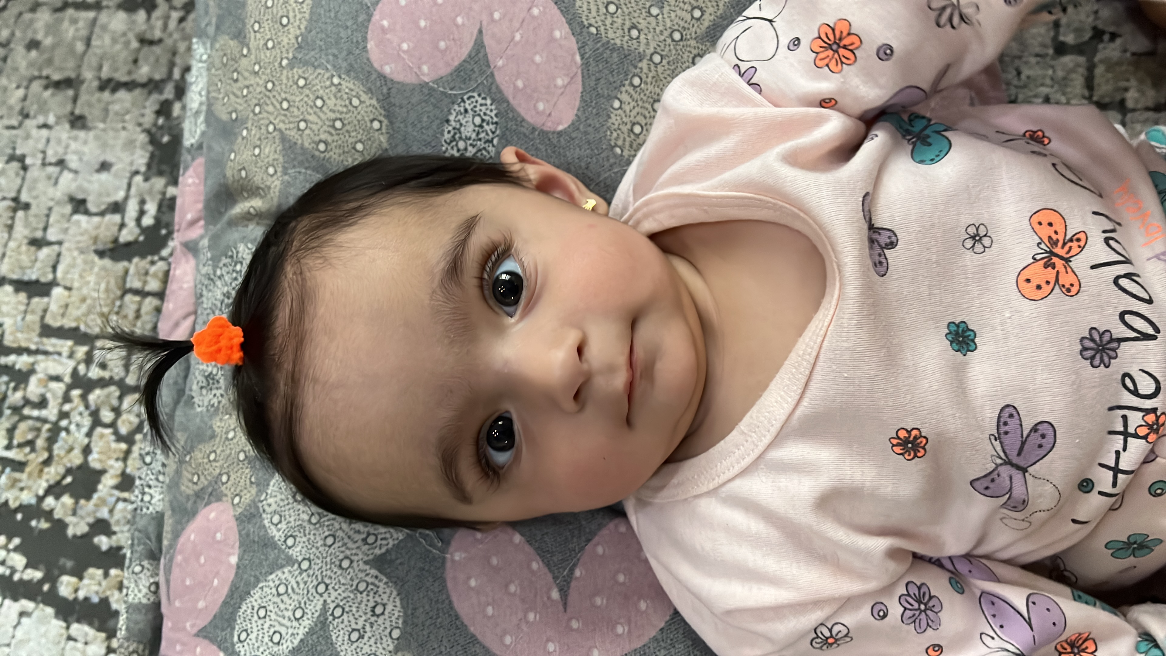 دلانا هاشمی