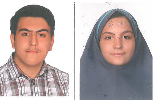 هوشمند مفرد