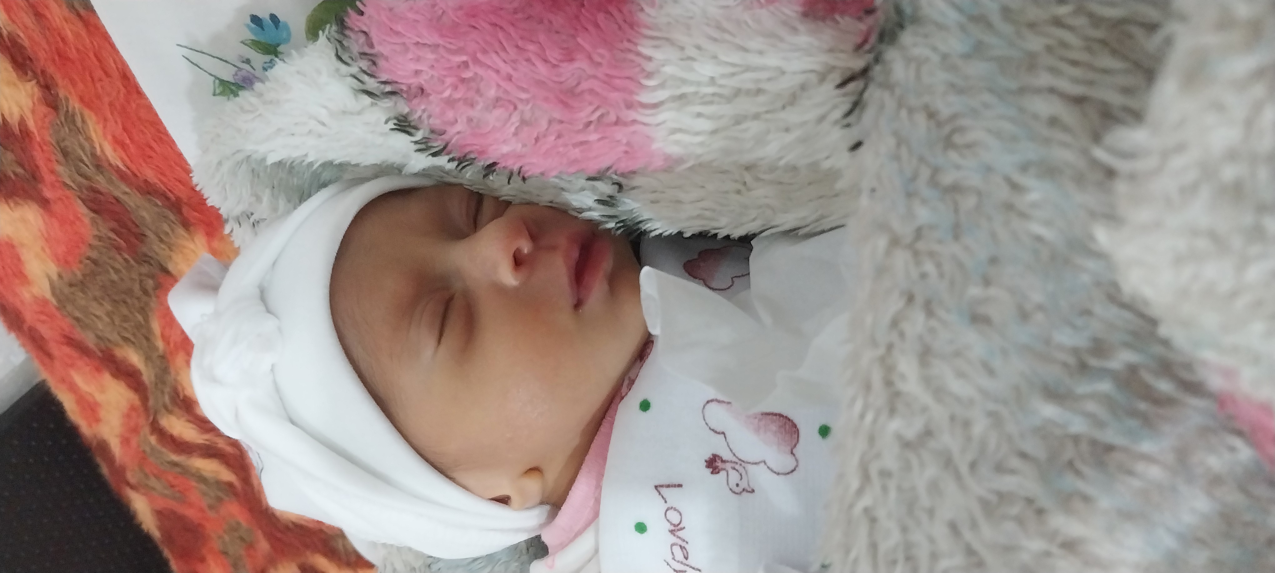 مائده مراغی