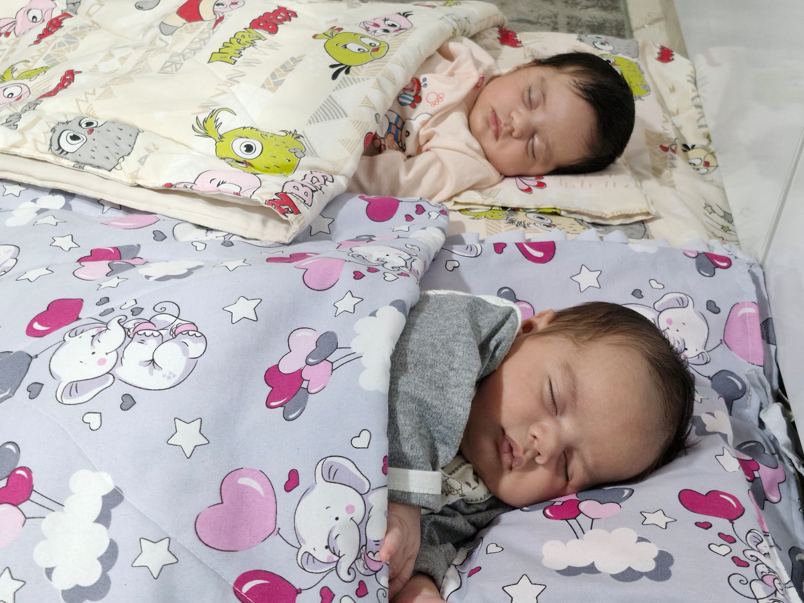 رحمانی دریس