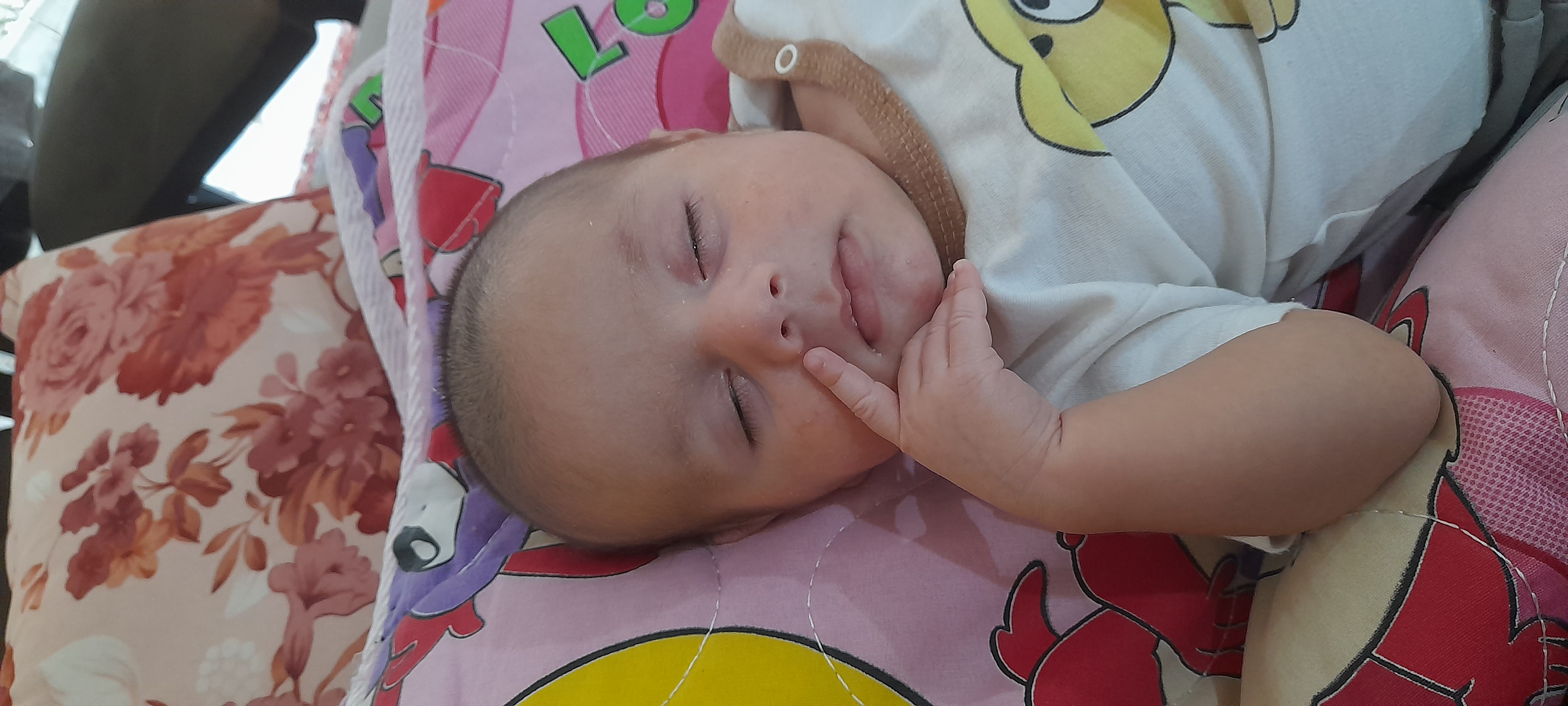 یار عارفی شیخ