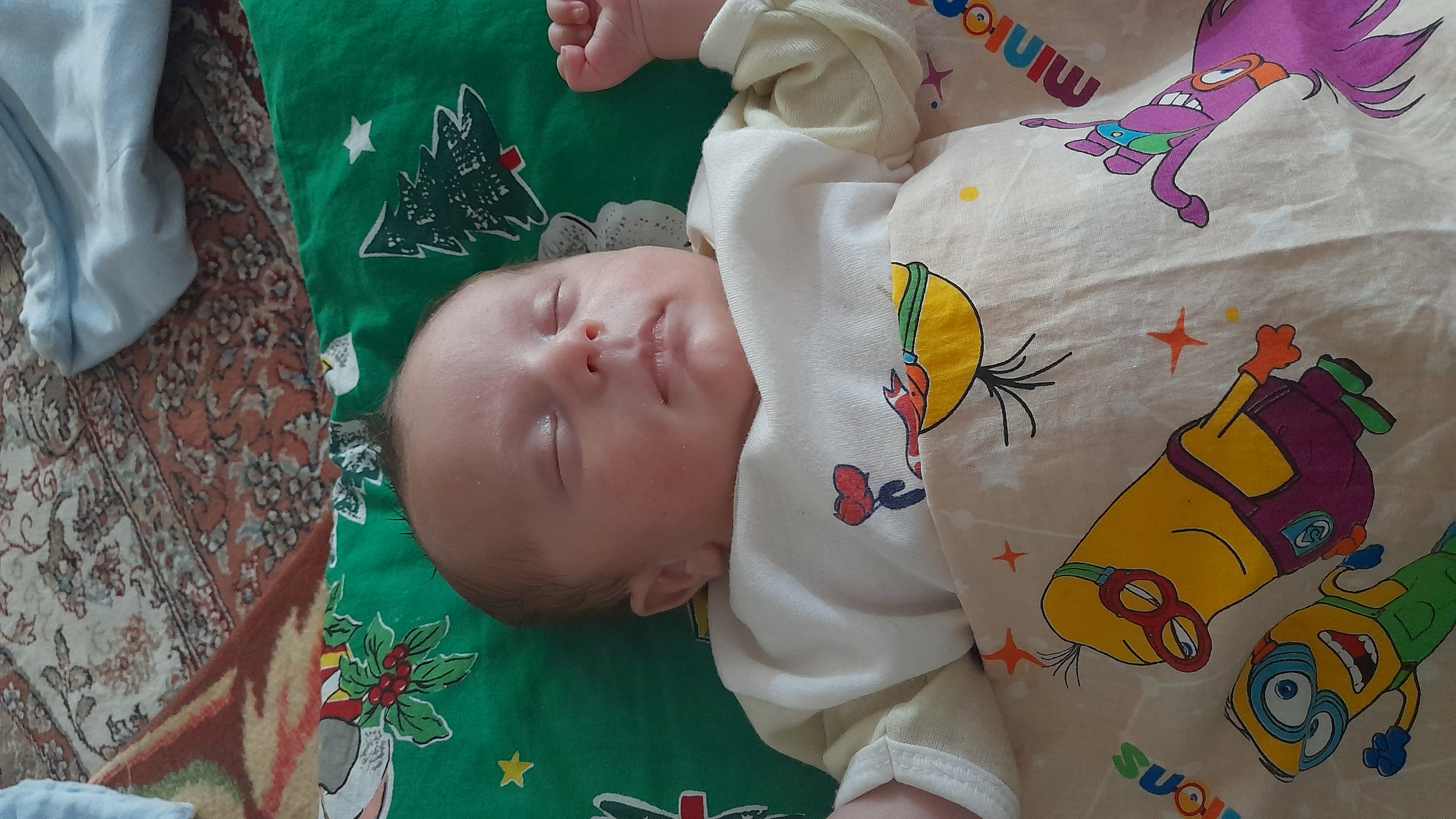 میران برمکی