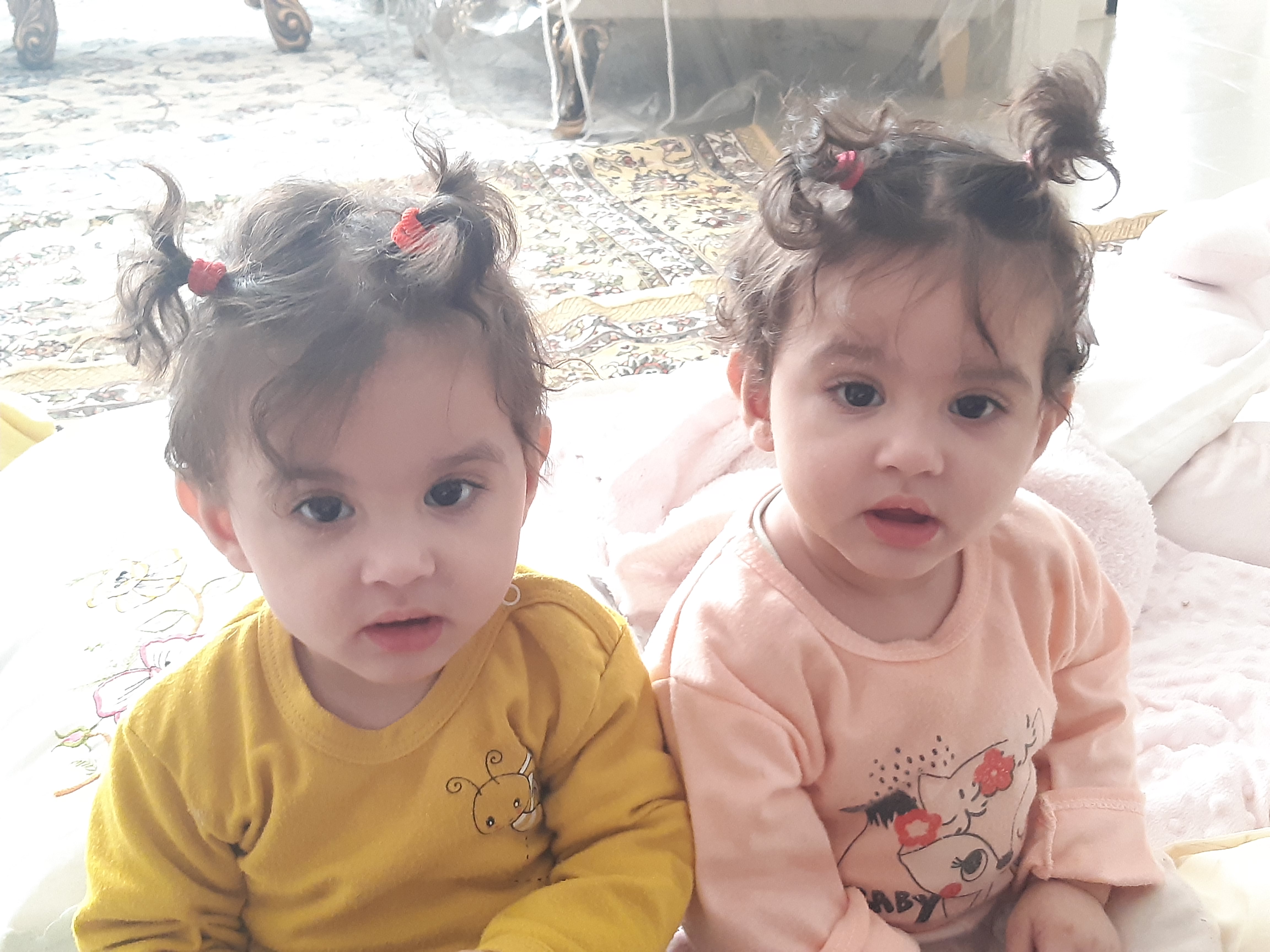 حورا السادات بصام زاده