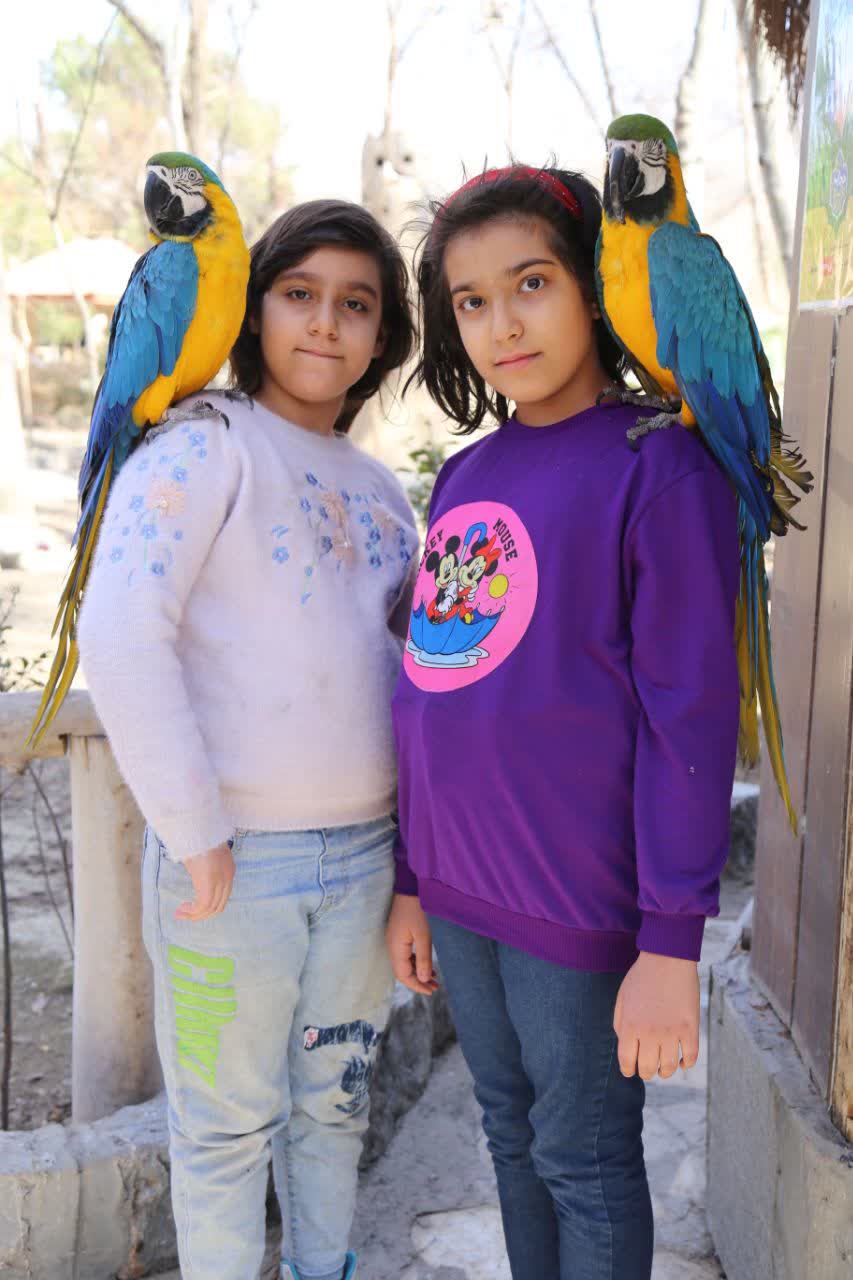 آیناذ پناهی