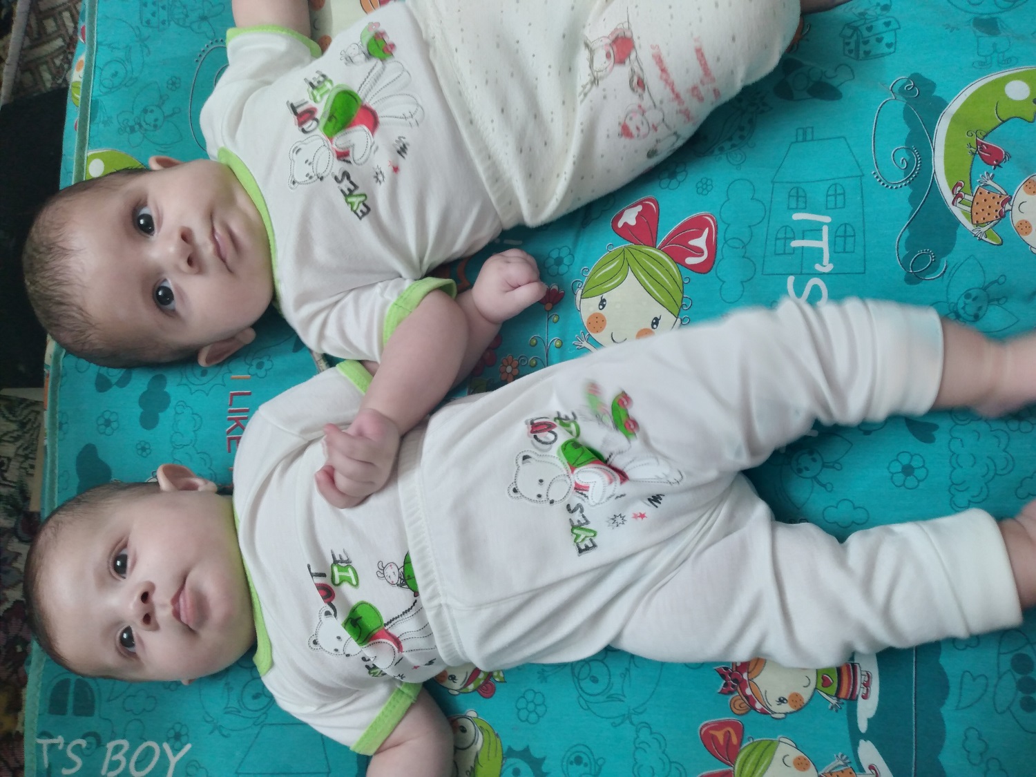 ابراهیمی مطلق