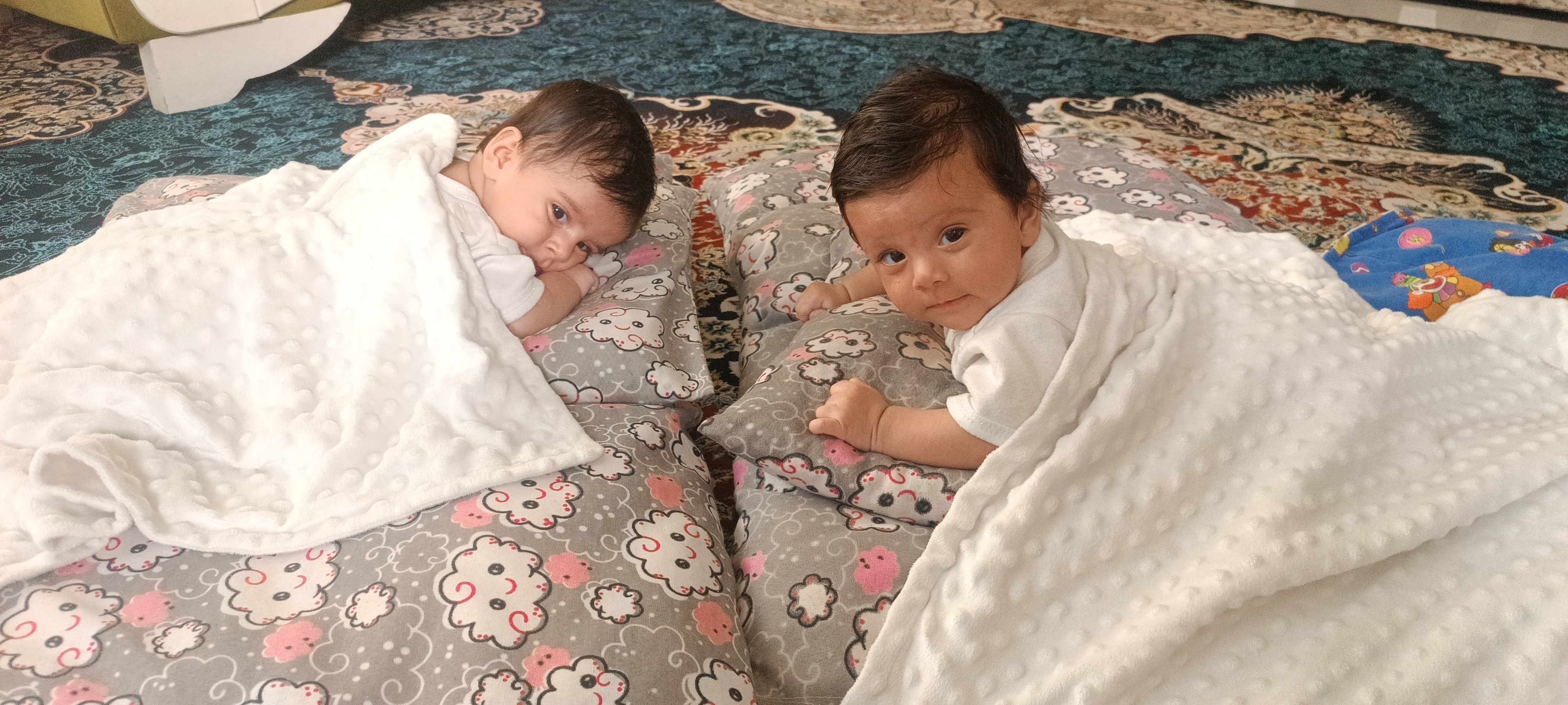 آیرا بازیار