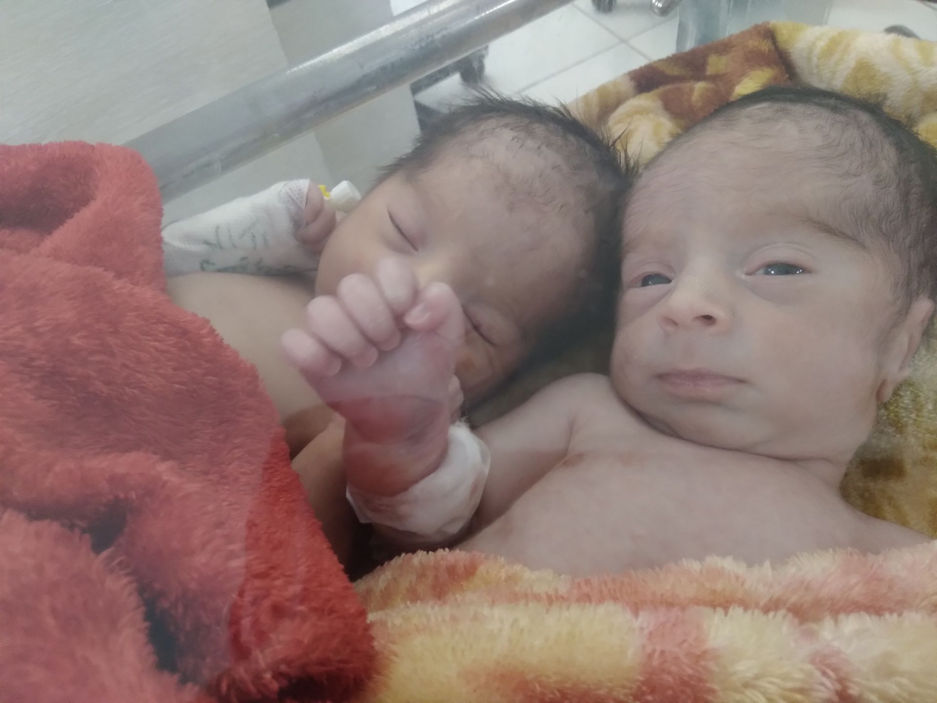 آریانا صاف دل 