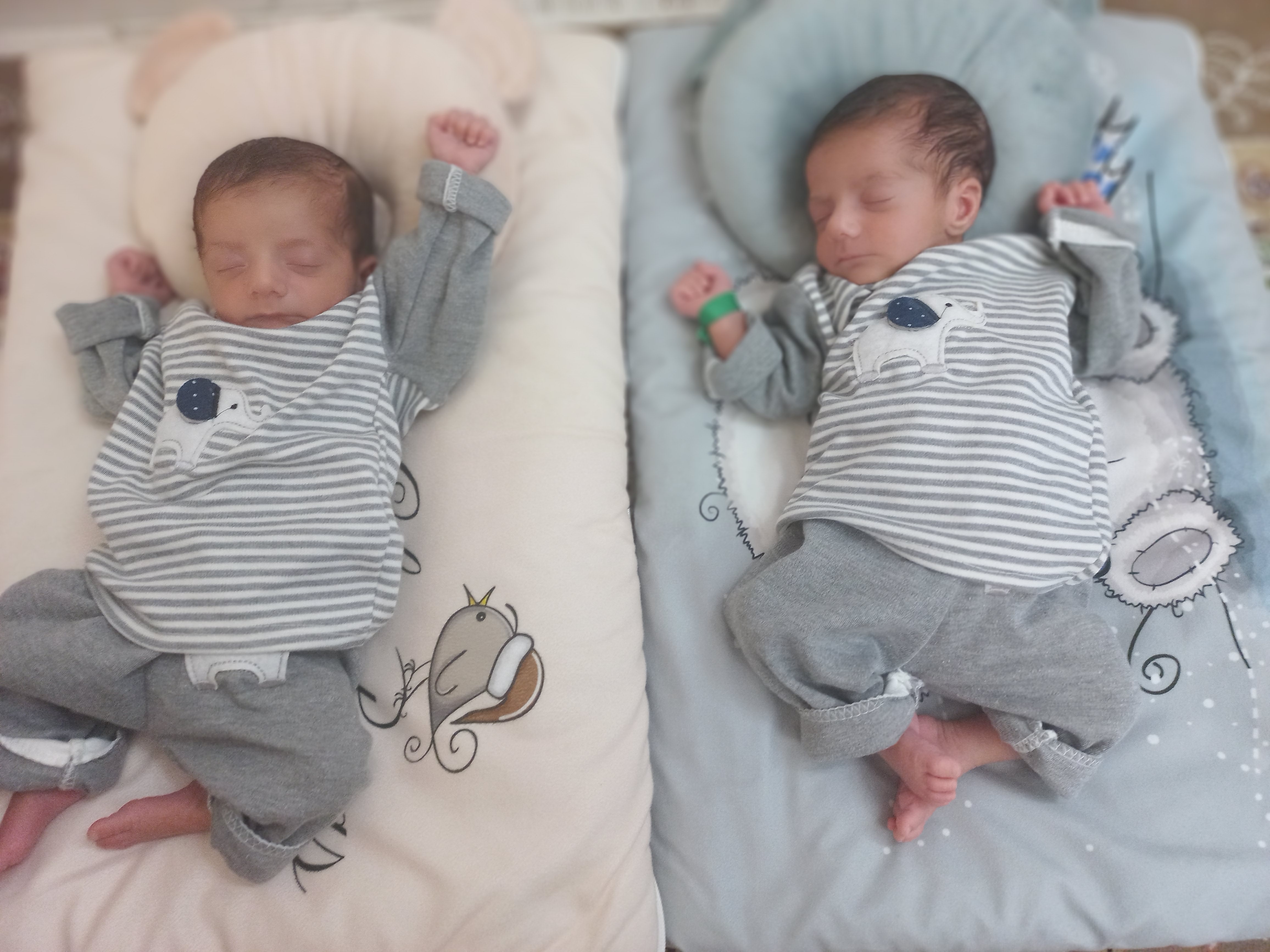 ماهلین بندی