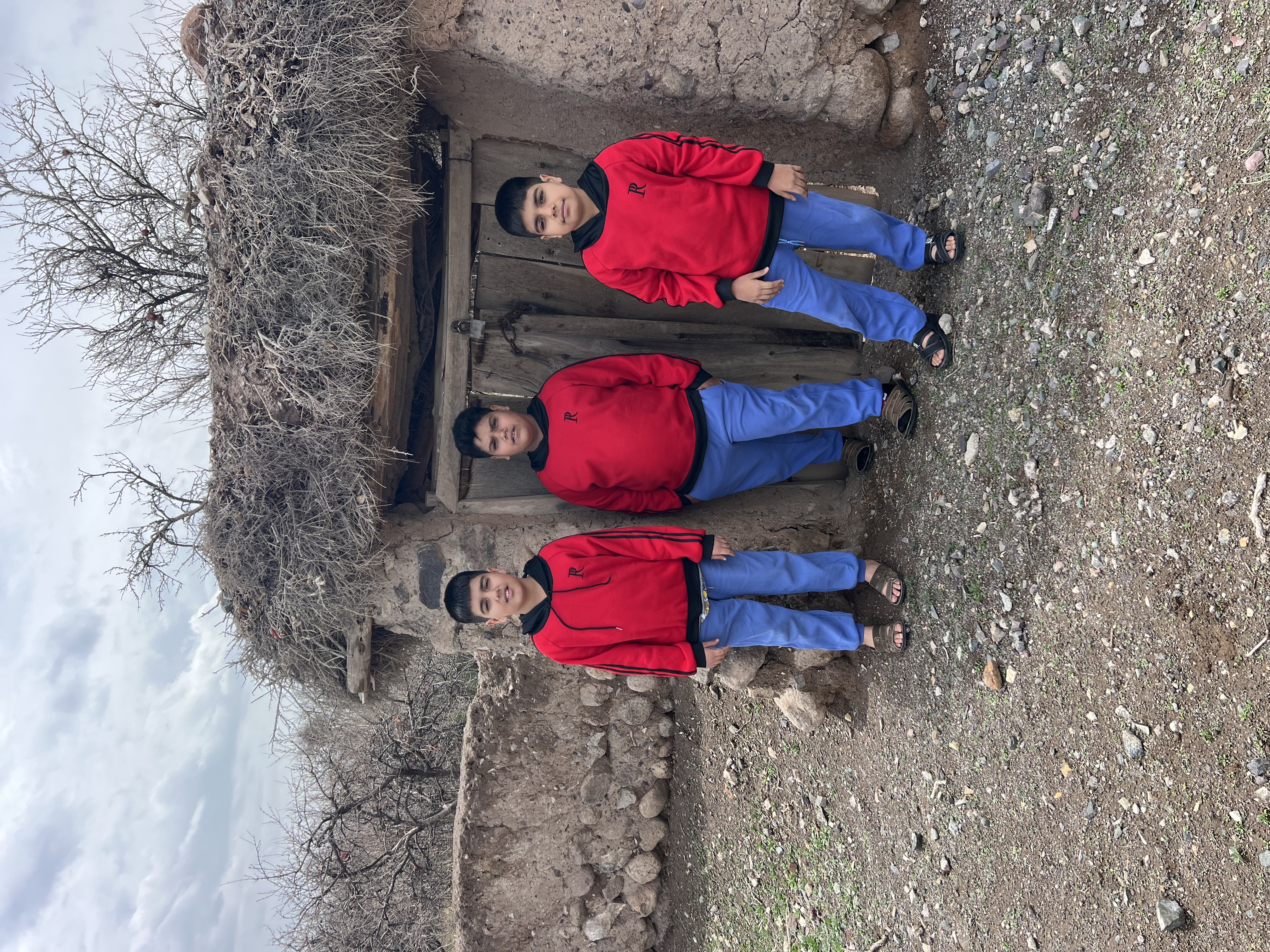 خانواده کورکی نژاد قرائی