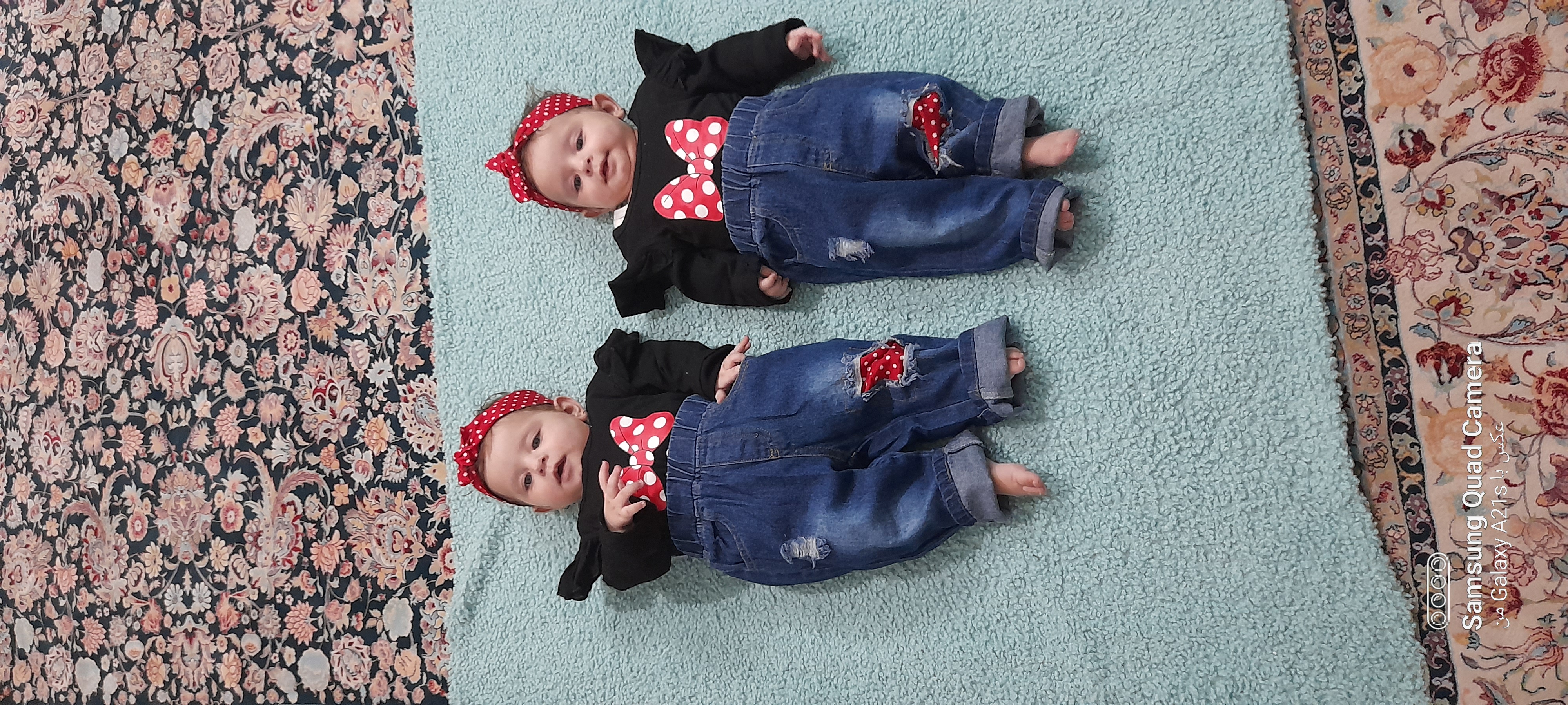 فاضل نیارکی 