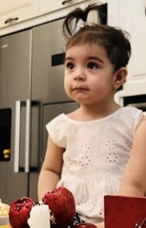 هانا آذرپور