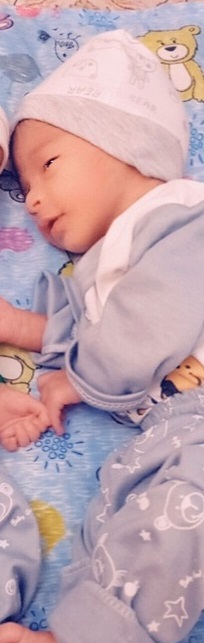 امیررضا فرهادی