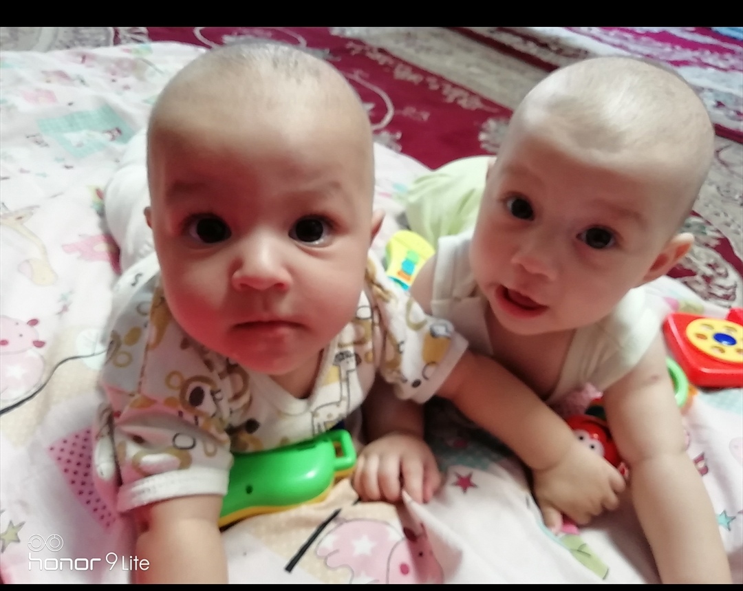 نگهبان آبنیه 