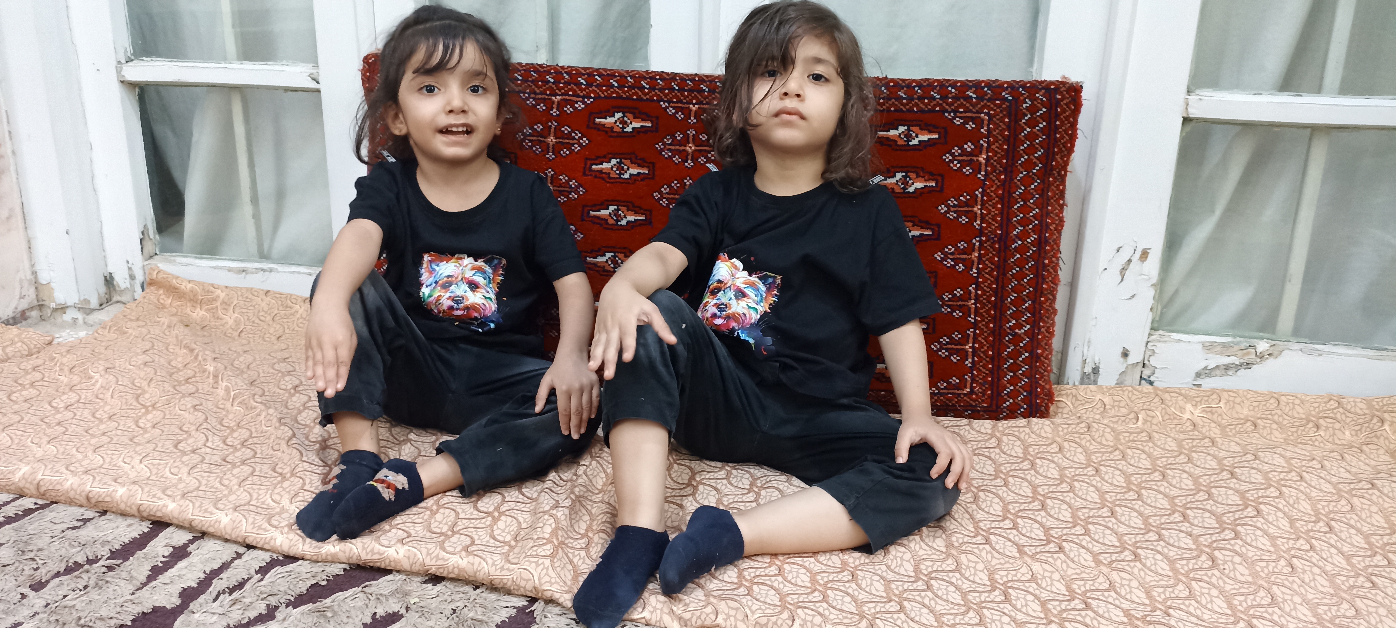 حسینی شانه ساز