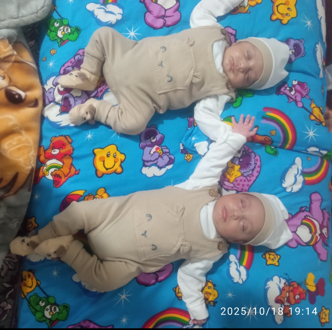 اخوی سید بیگلو