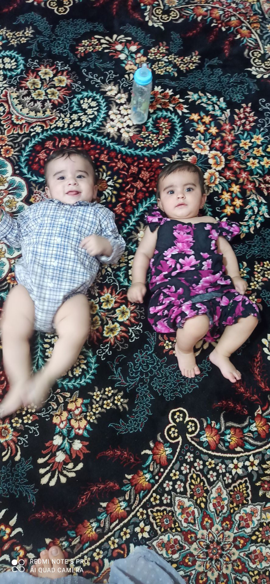 نجفی چالاوه 