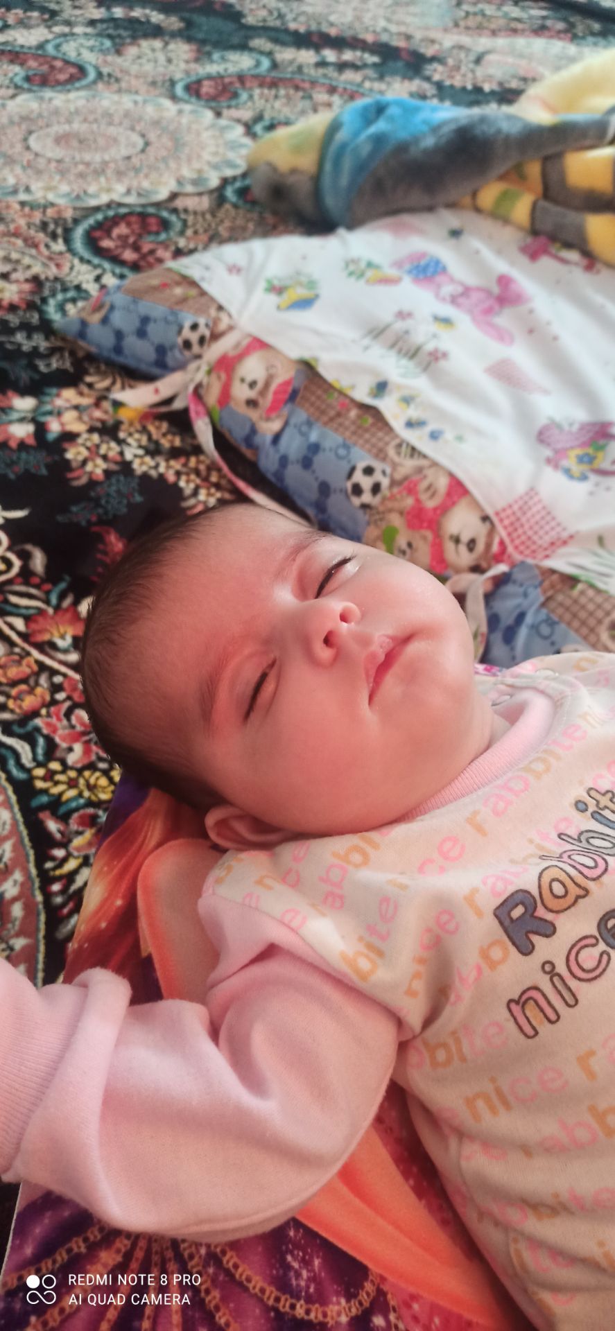 رایان  نجفی چالاوه 