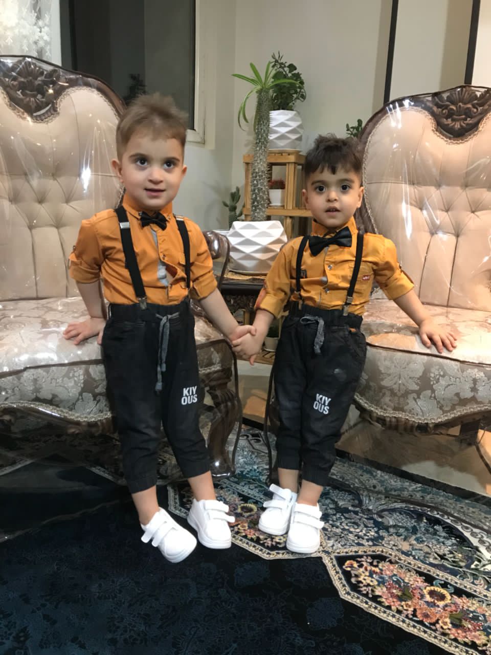 محمدی شیخ شبانی