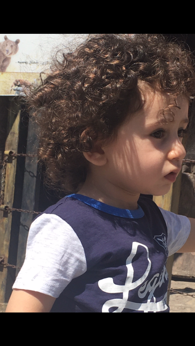 داریو پیروی