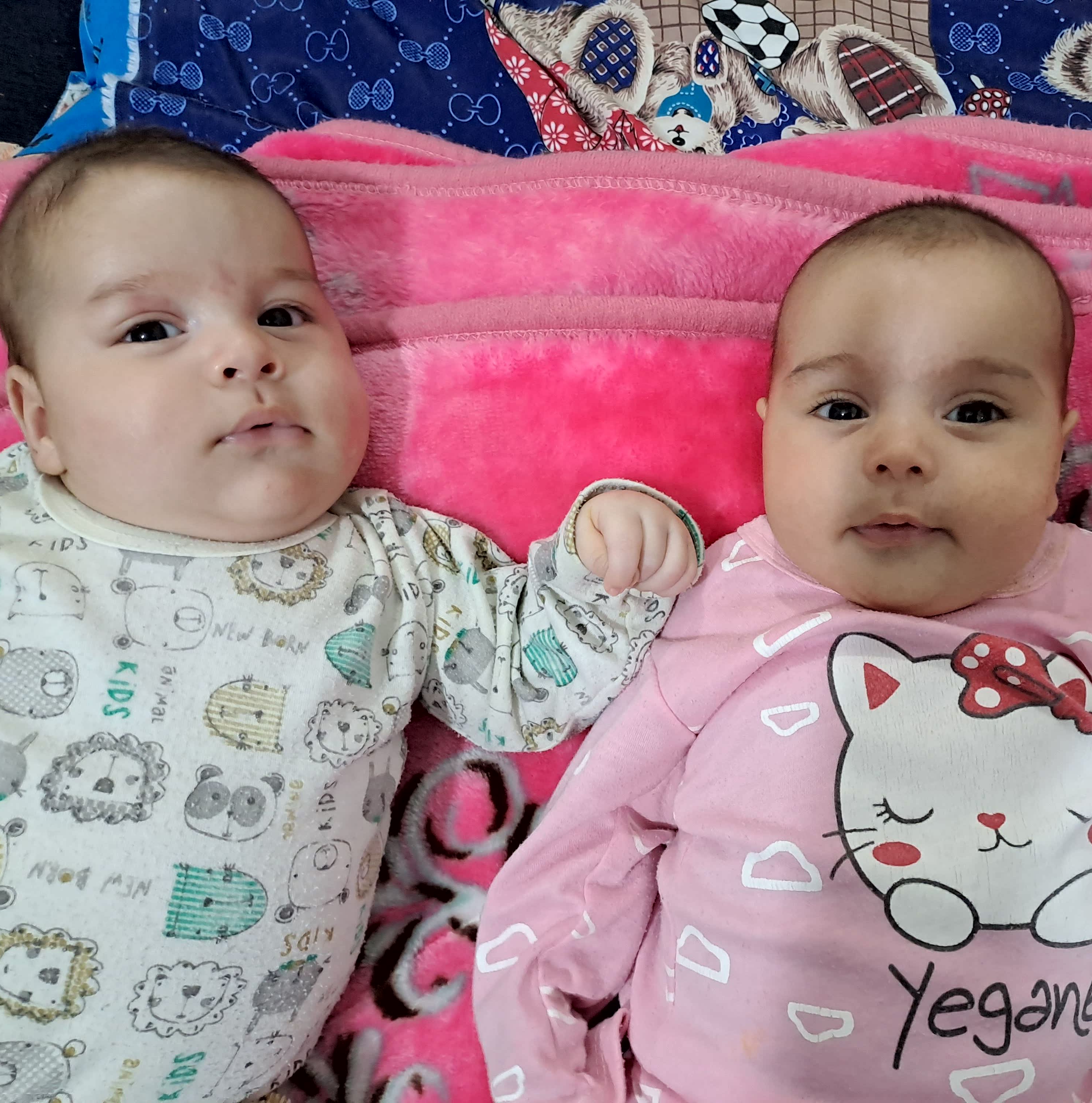 جواد  قرباغی 