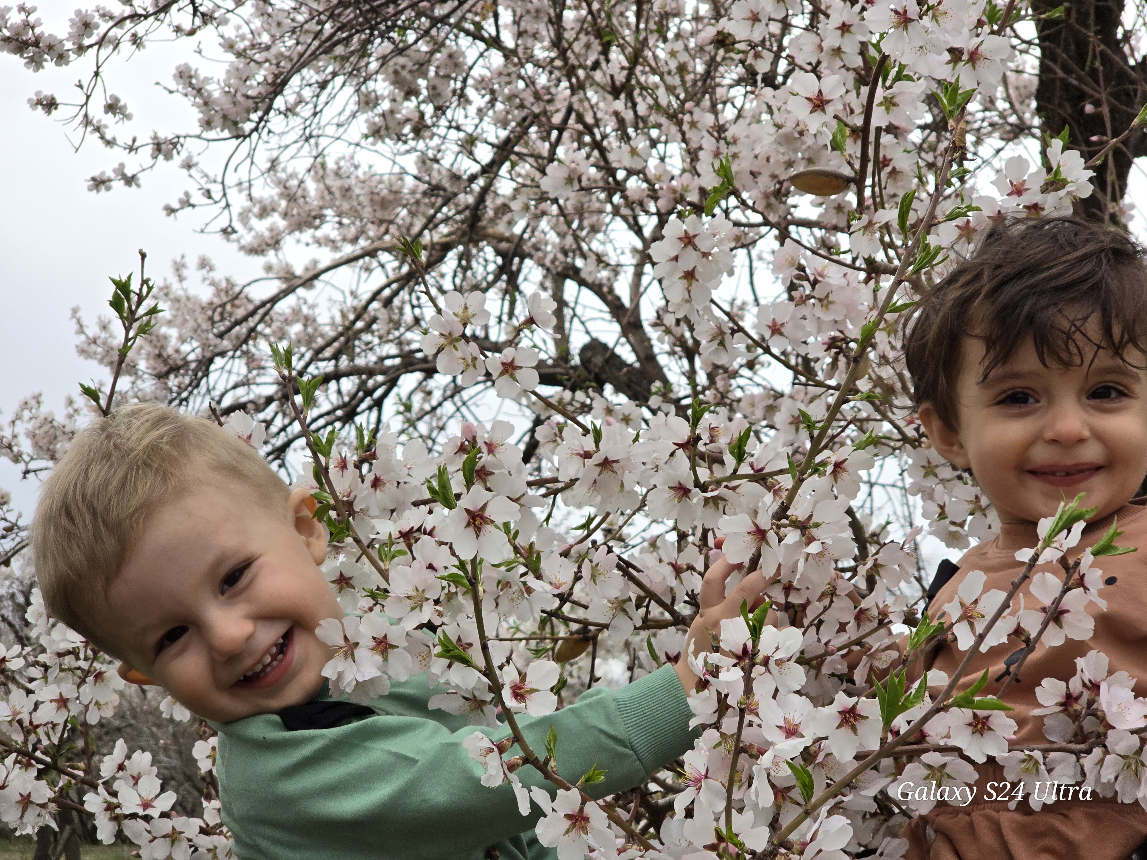 آیسان سادات قاضی