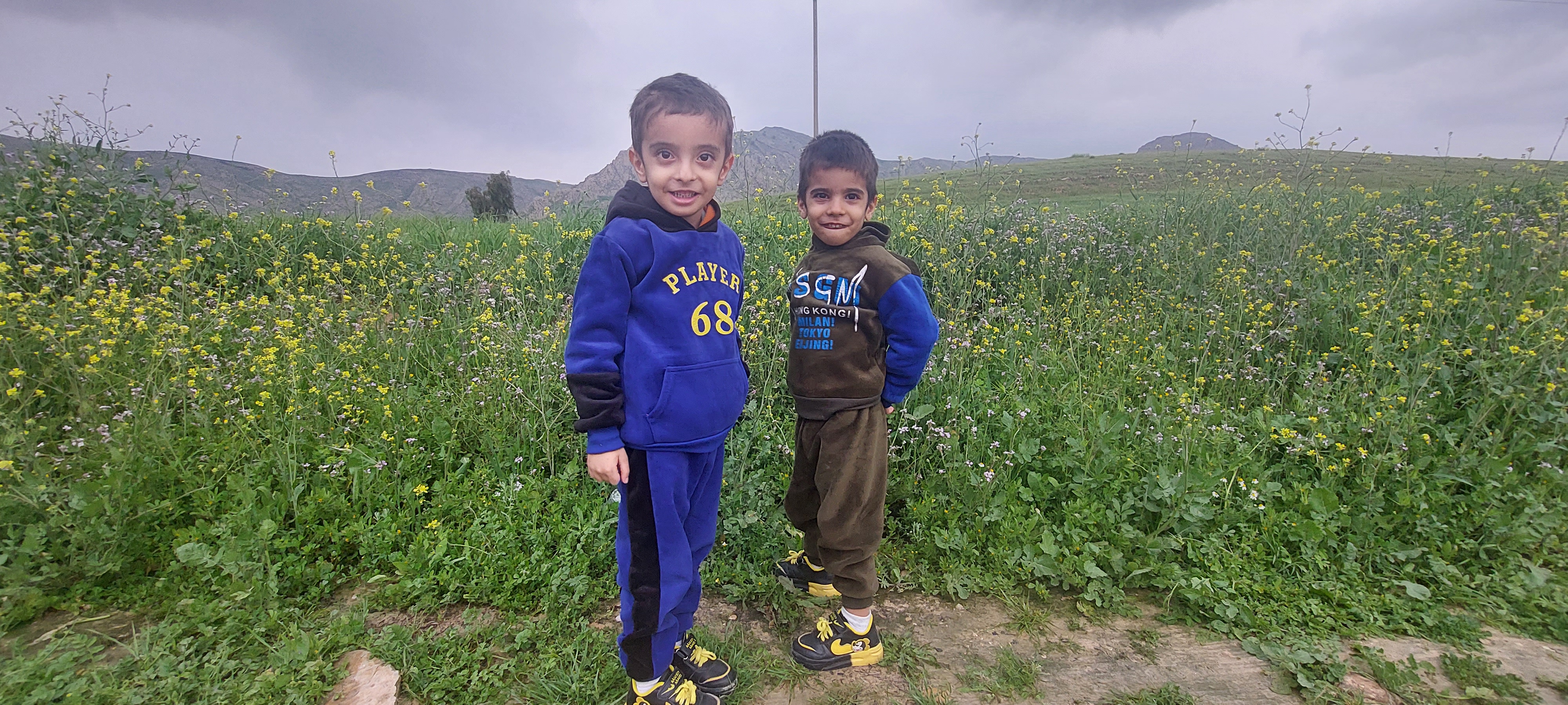 آریا فرهادی فر