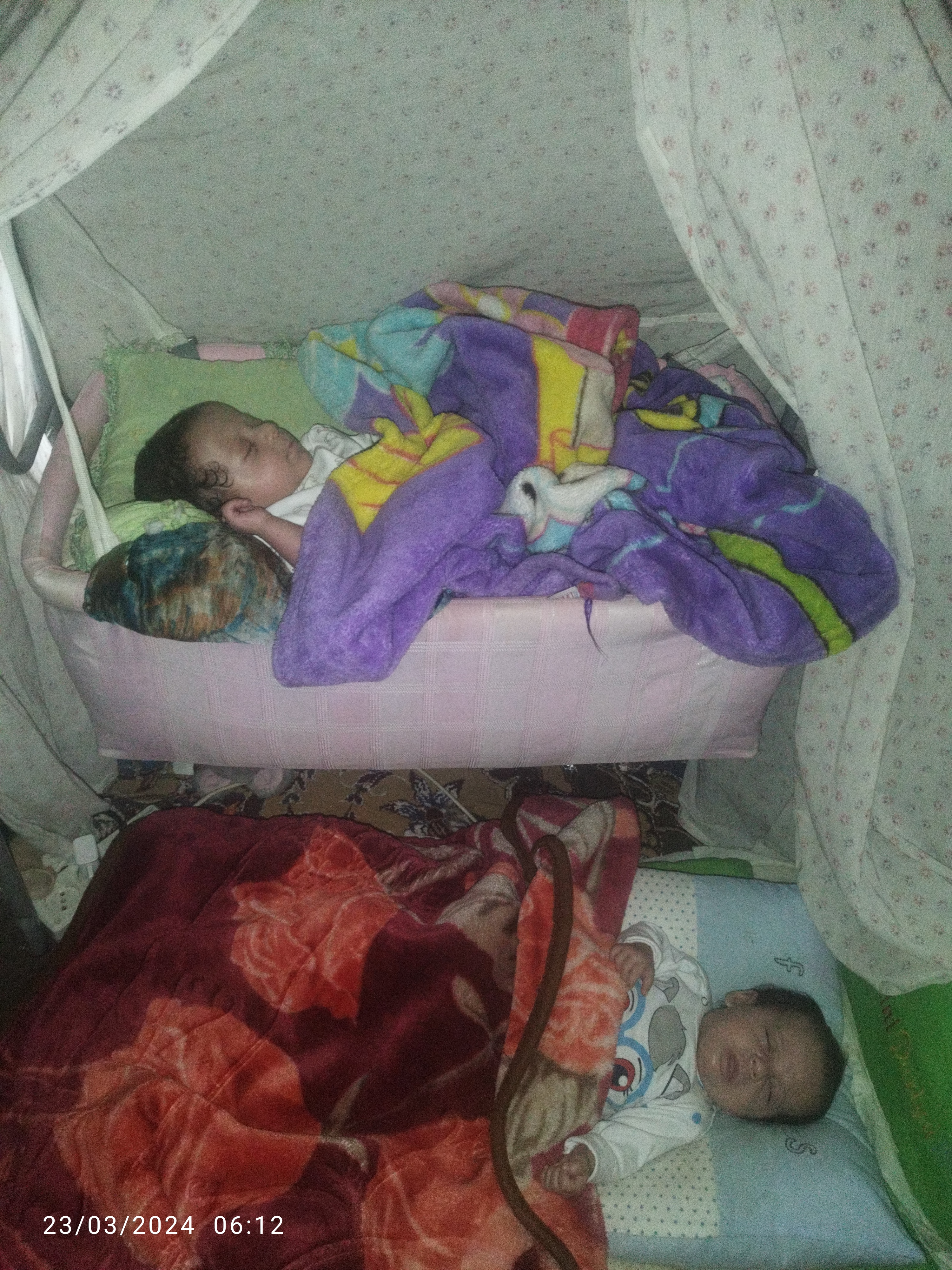 حسین  آلبوغبیش