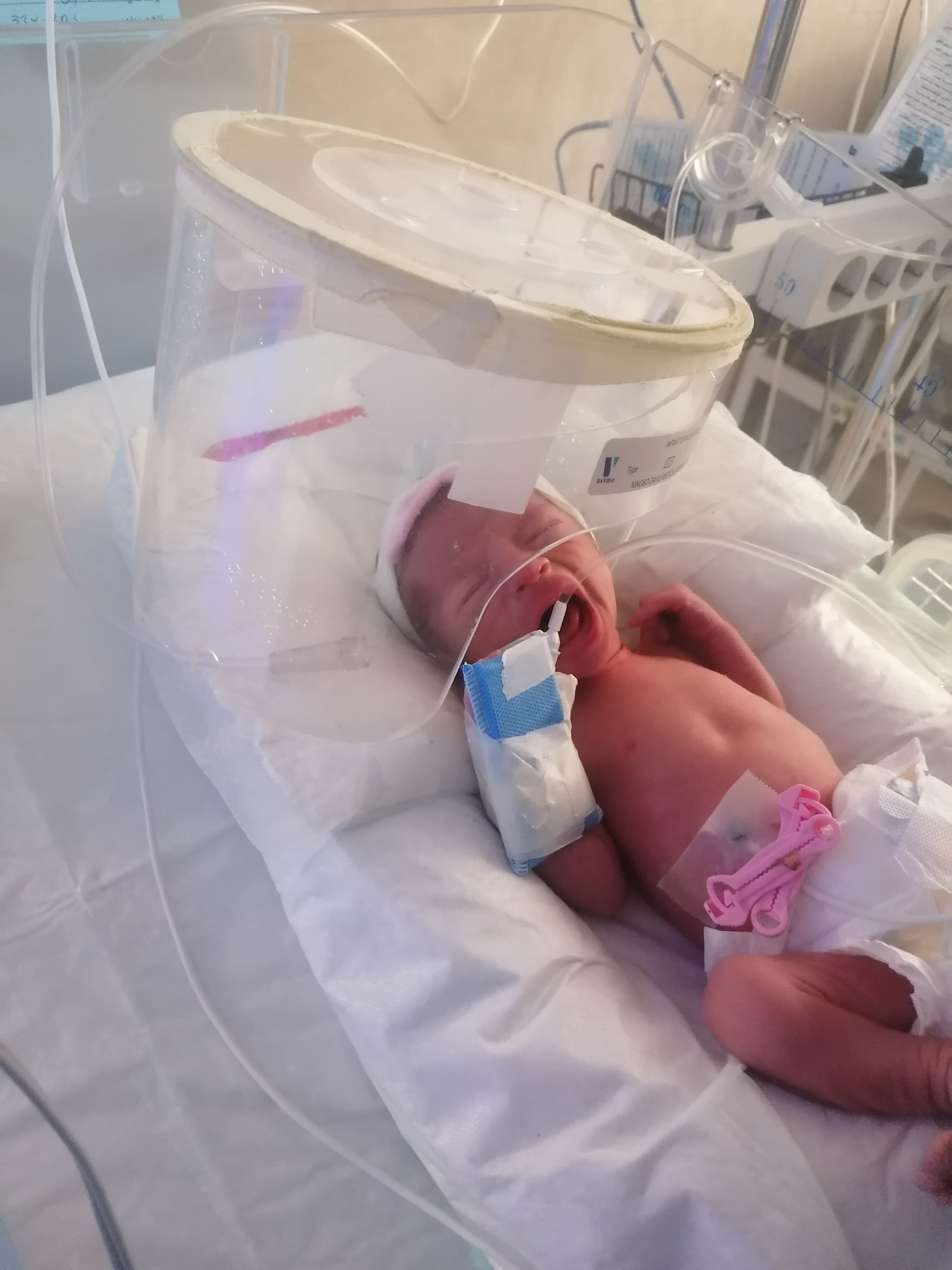 مهدیار عابدینی