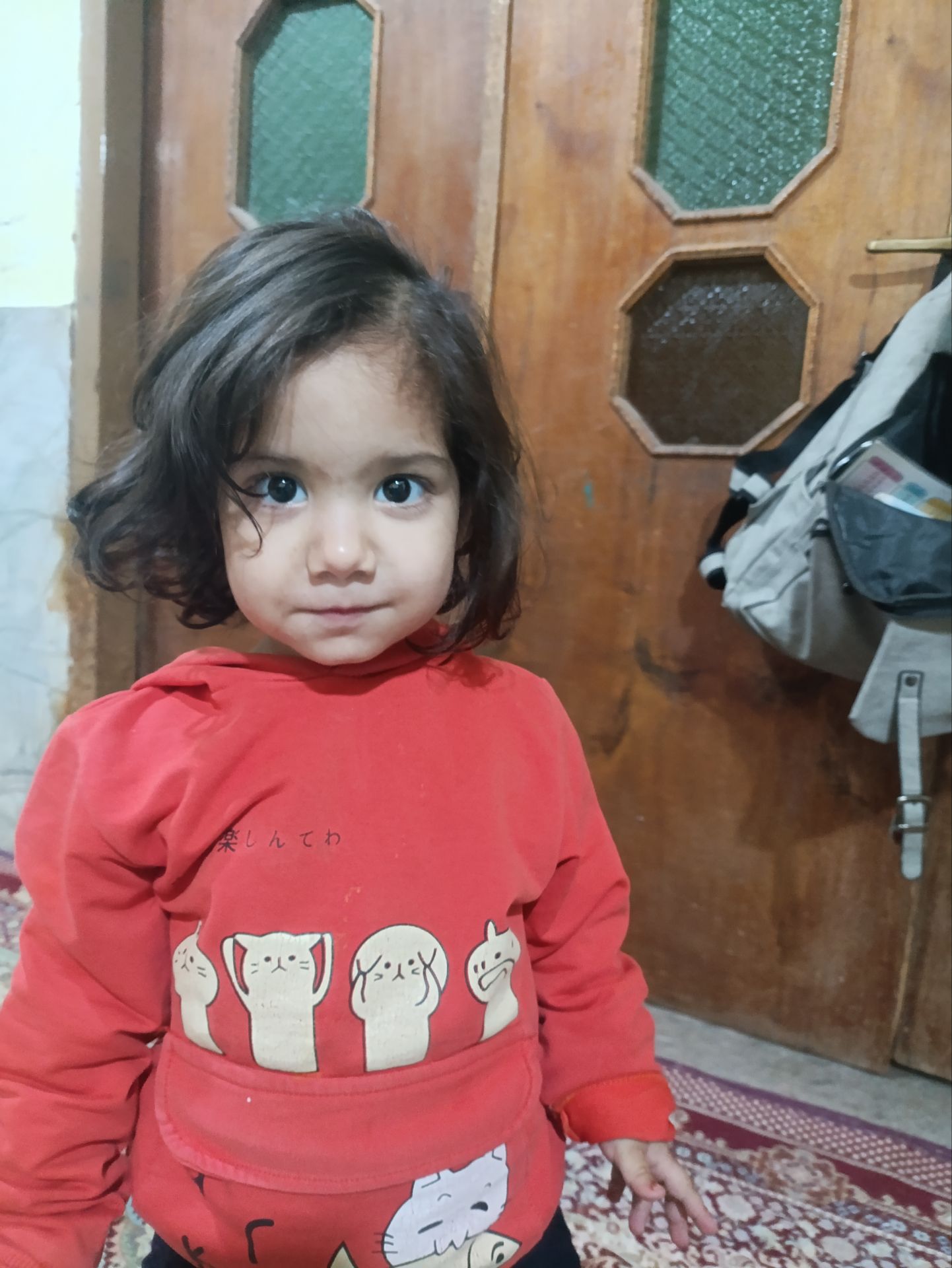 حسن زهی ثانی