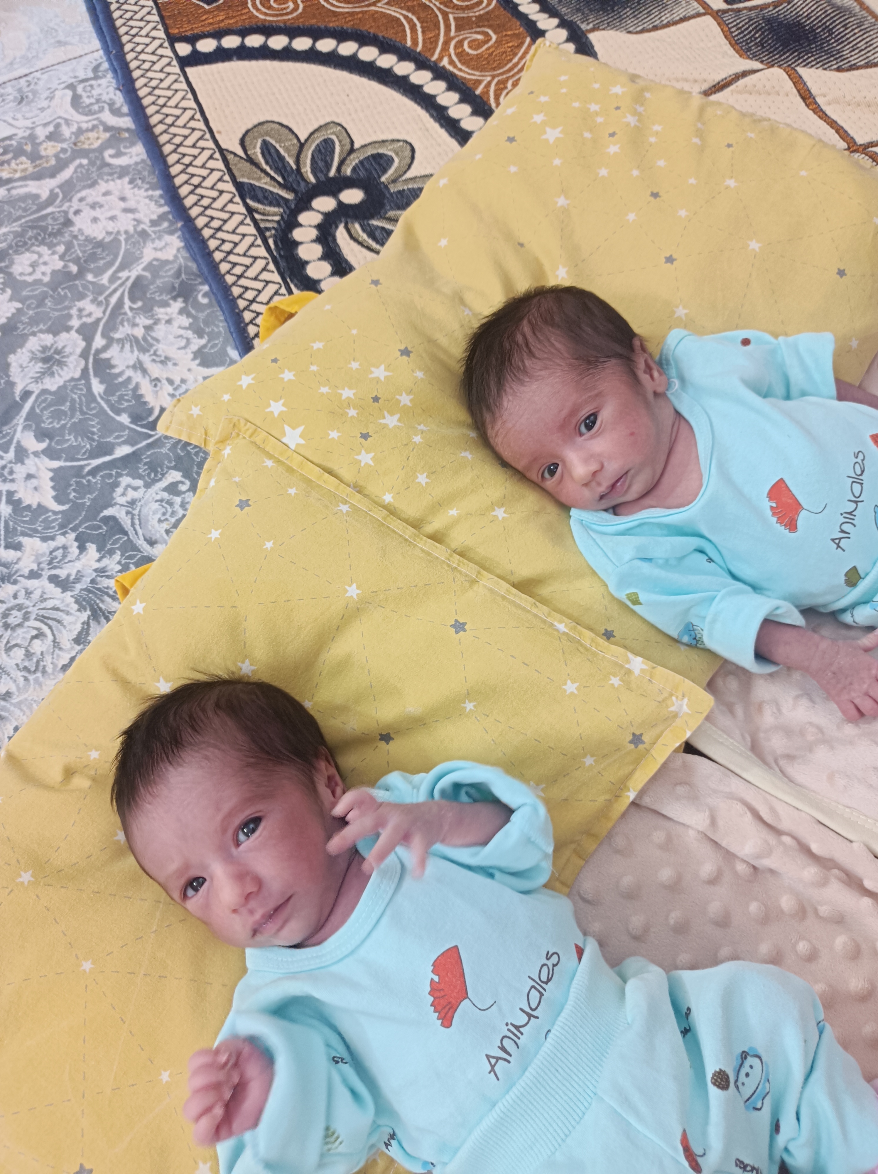 میرزایی حمید